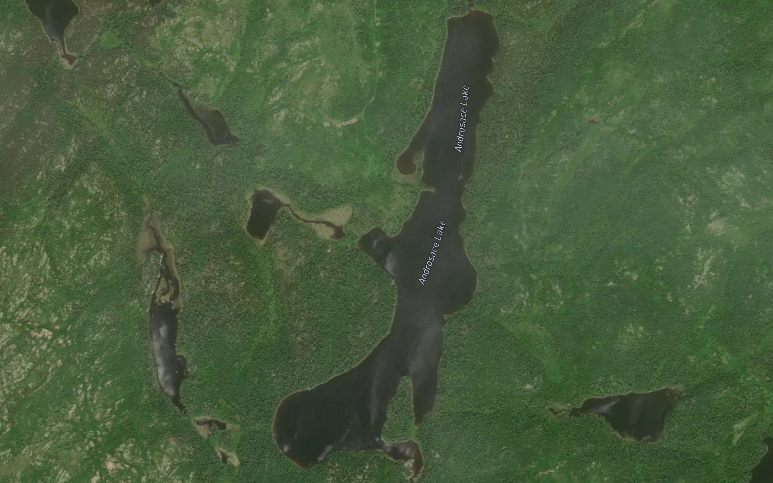 Androsace Lake