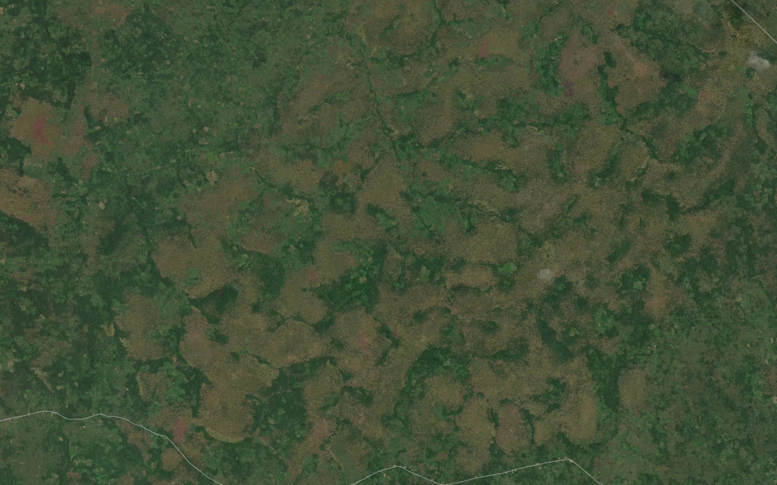 Angayi