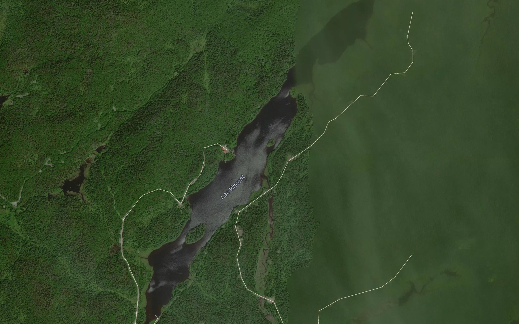 Satellite map of the Lac Vincent