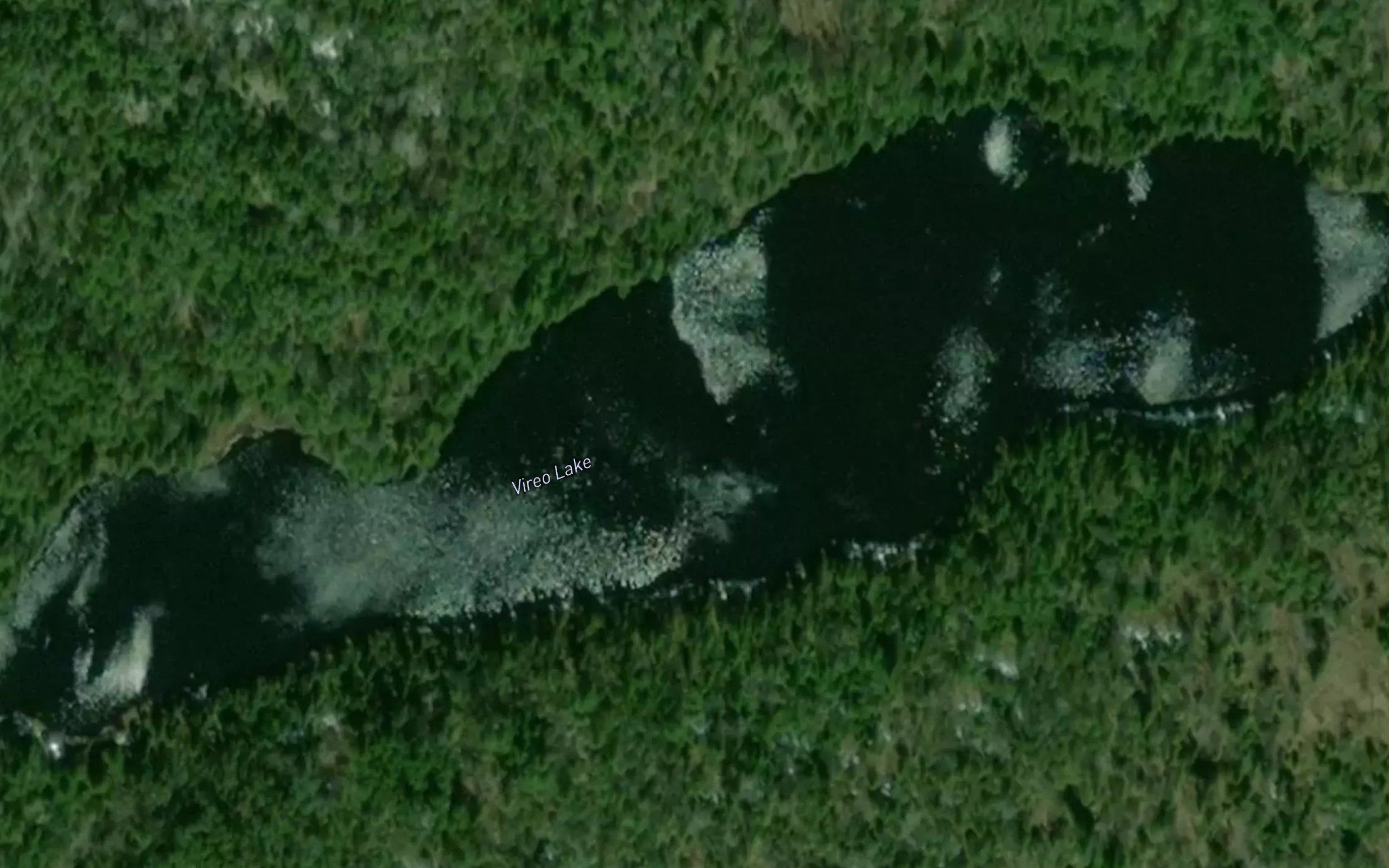 Vireo Lake