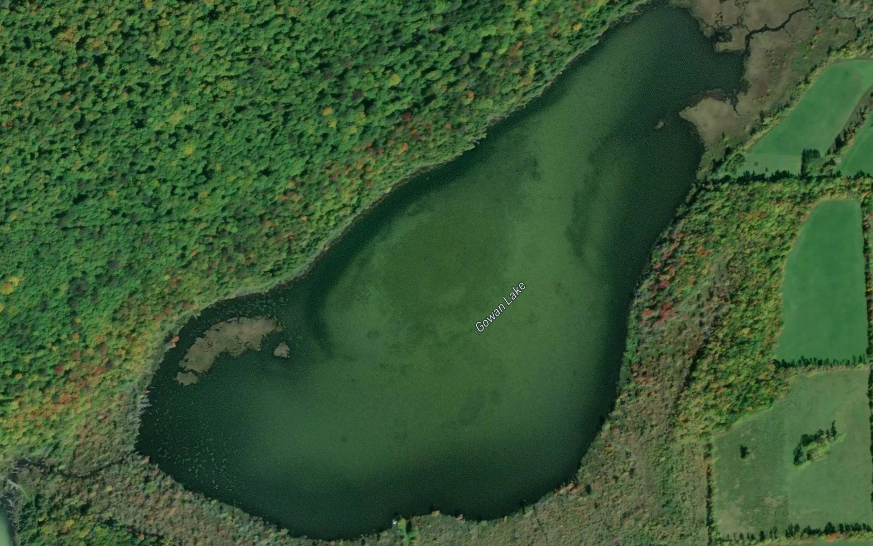 Satellite map of the Gowan Lake