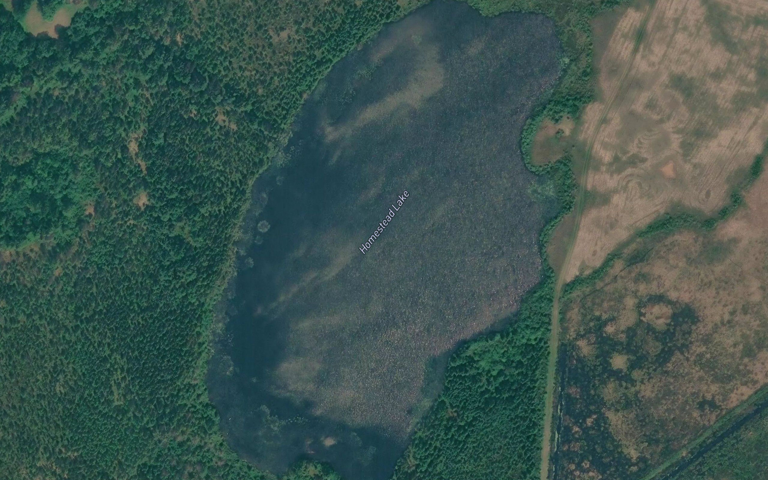 Homestead Lake