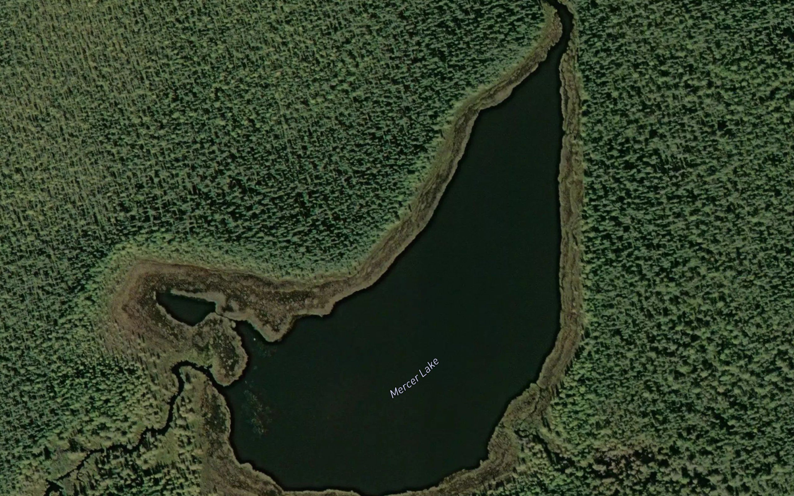 Mercer Lake