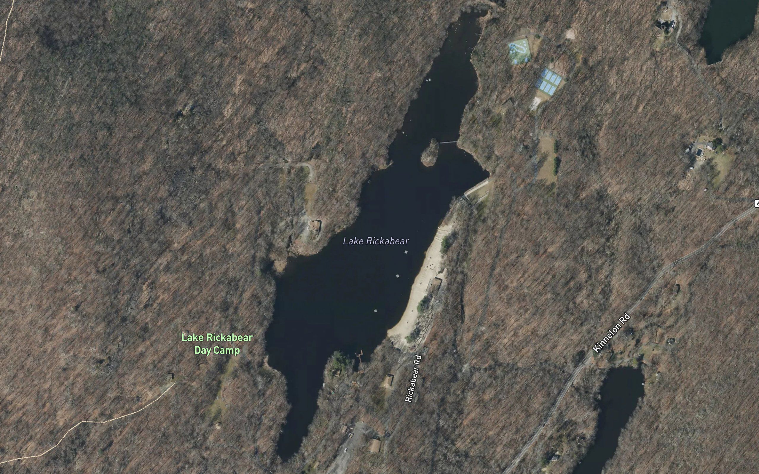 Lake Ricabear