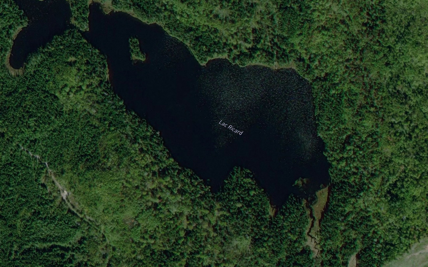 Satellite map of the Lac Ricard