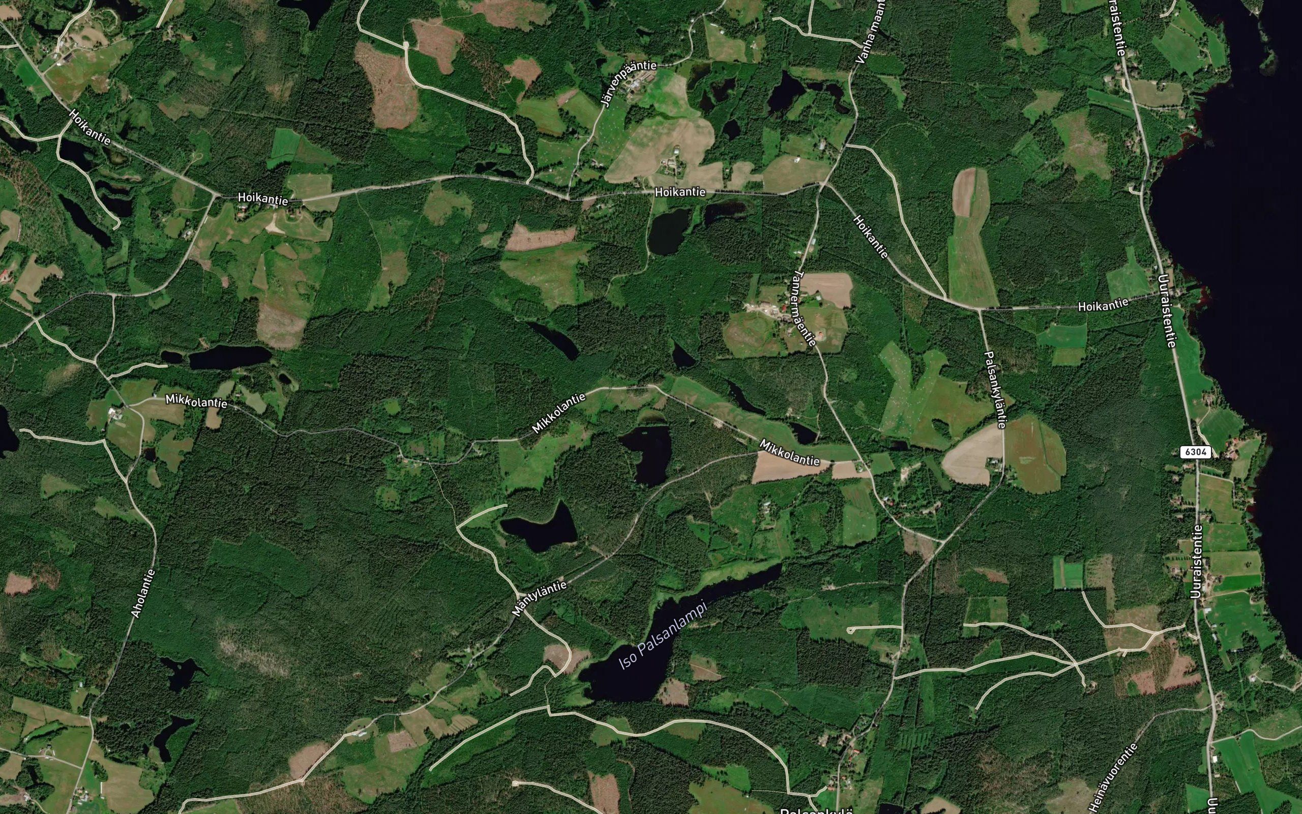 Keltakorvenoja