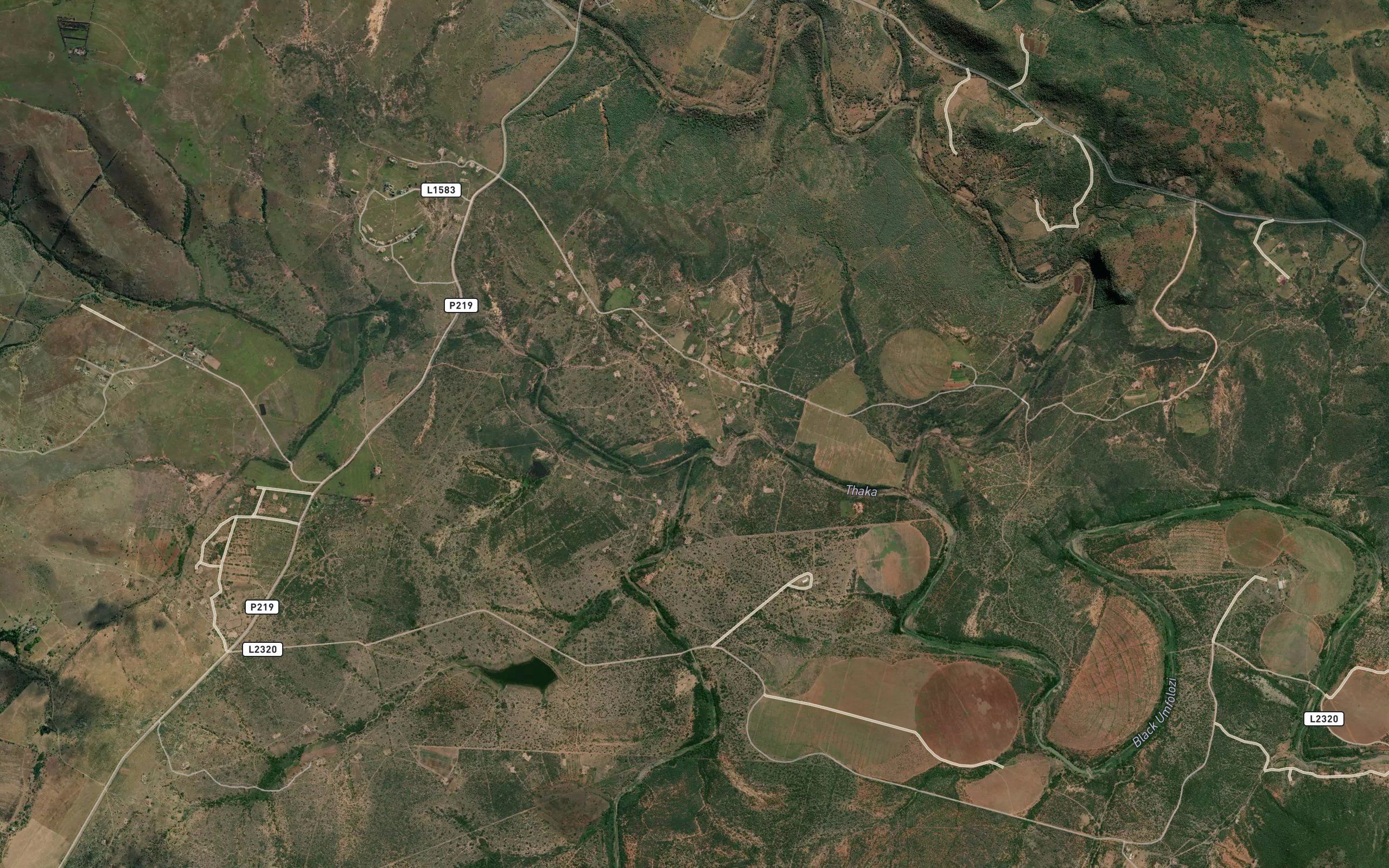 Hlonyane