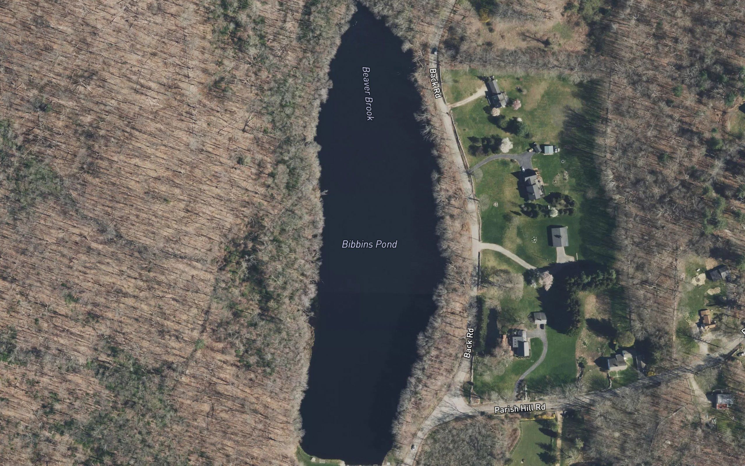 Bibbins Pond