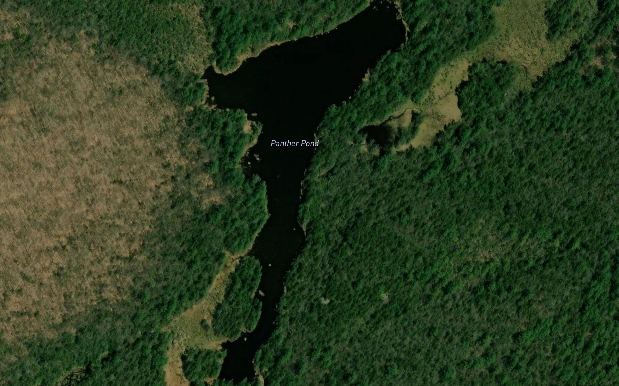 Panther Pond