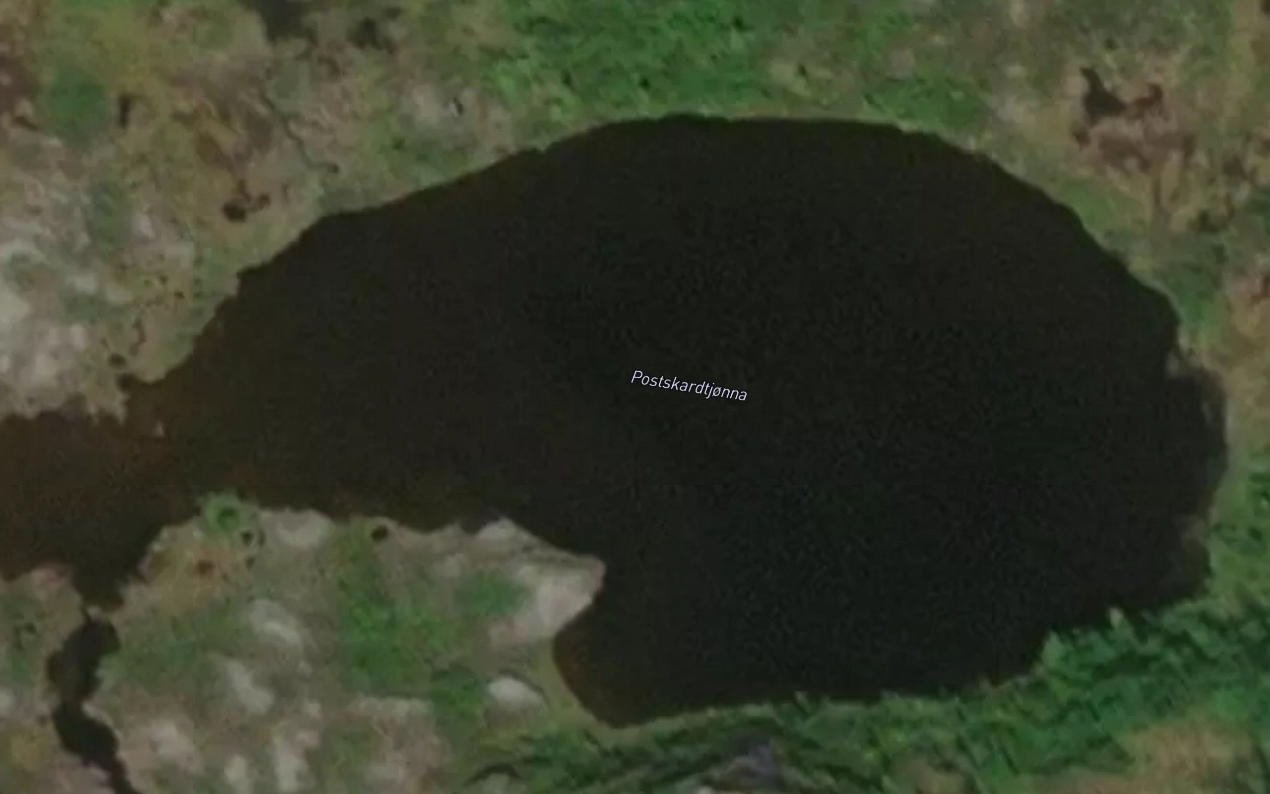 Postskardtjorna