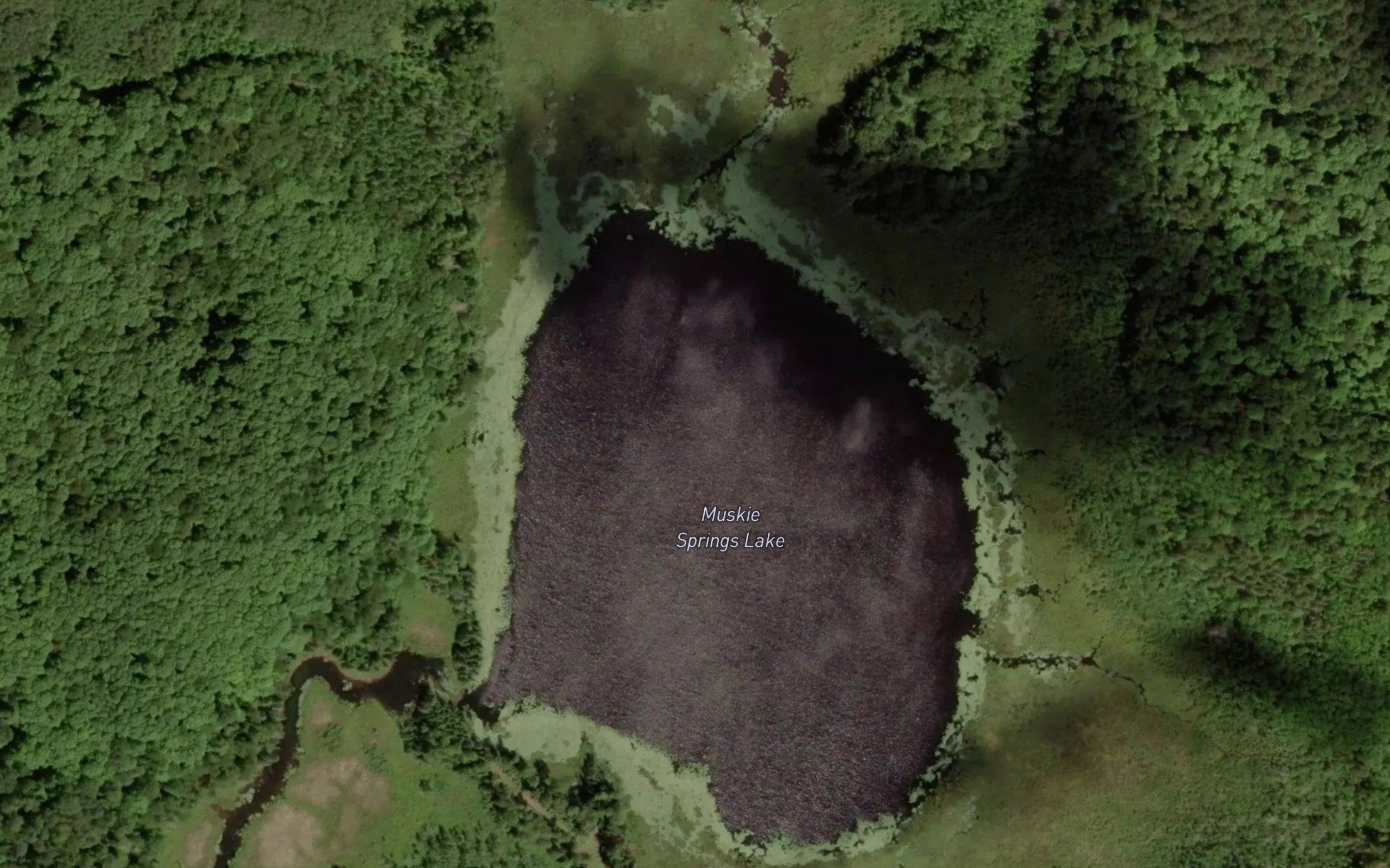 Muskie Springs Lake
