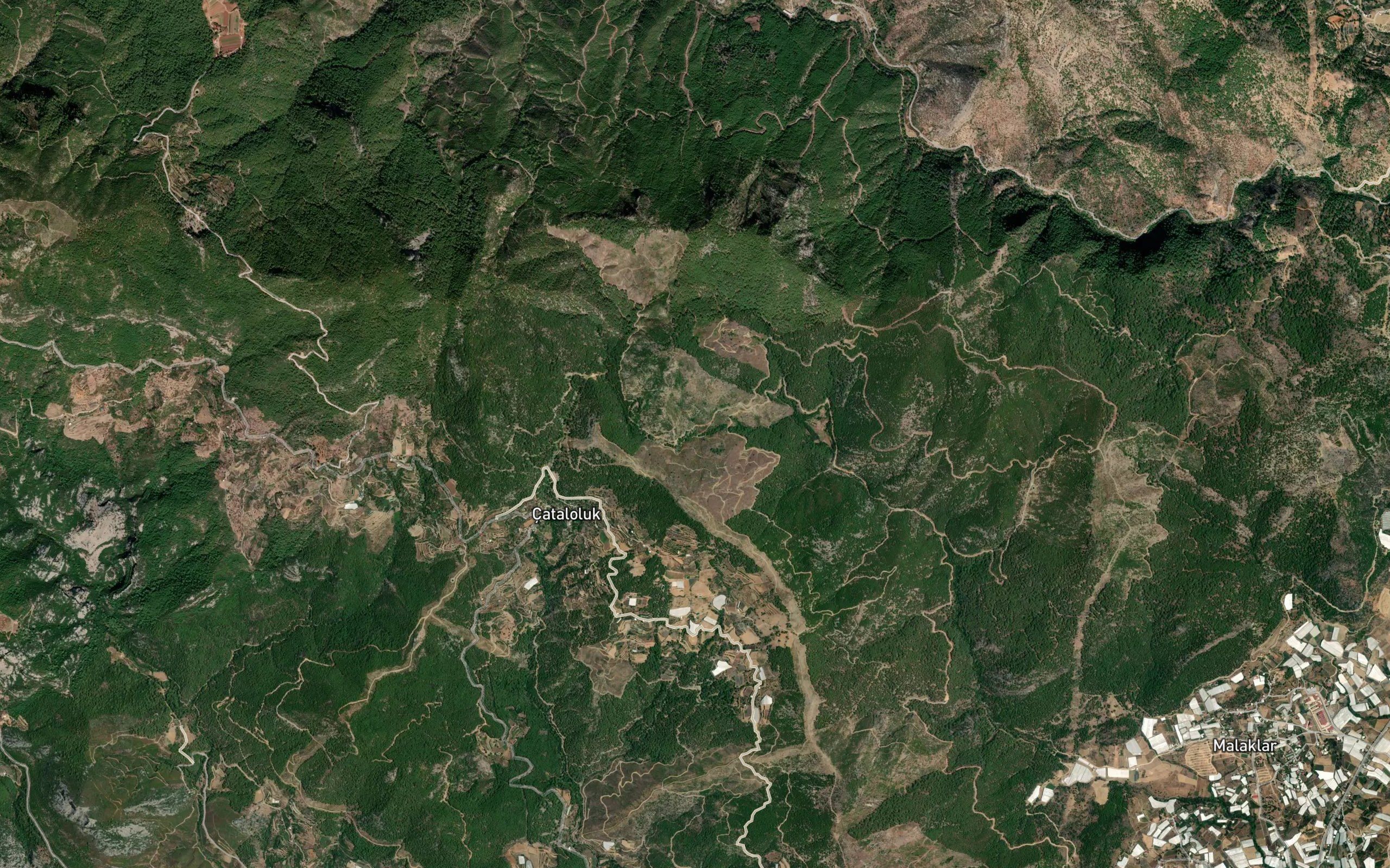 Karaketir Pinari