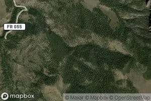 Cougar Spring