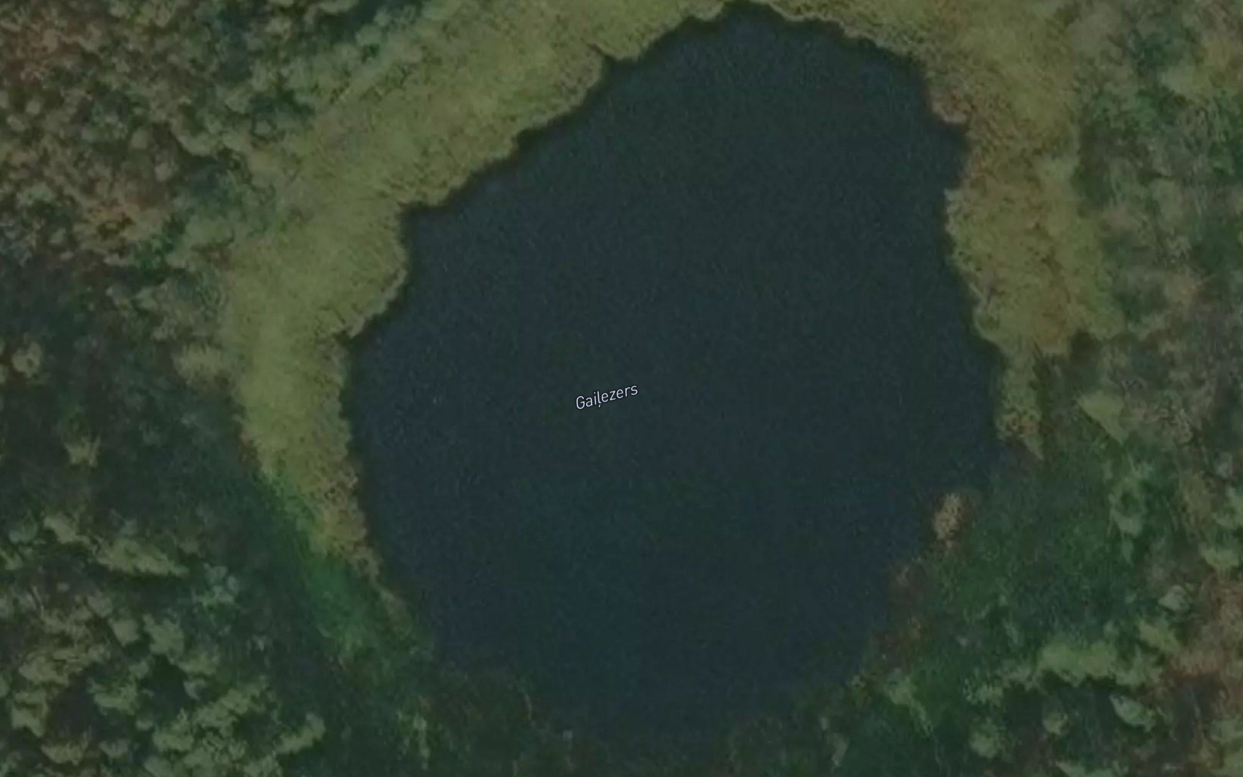 Gailezers