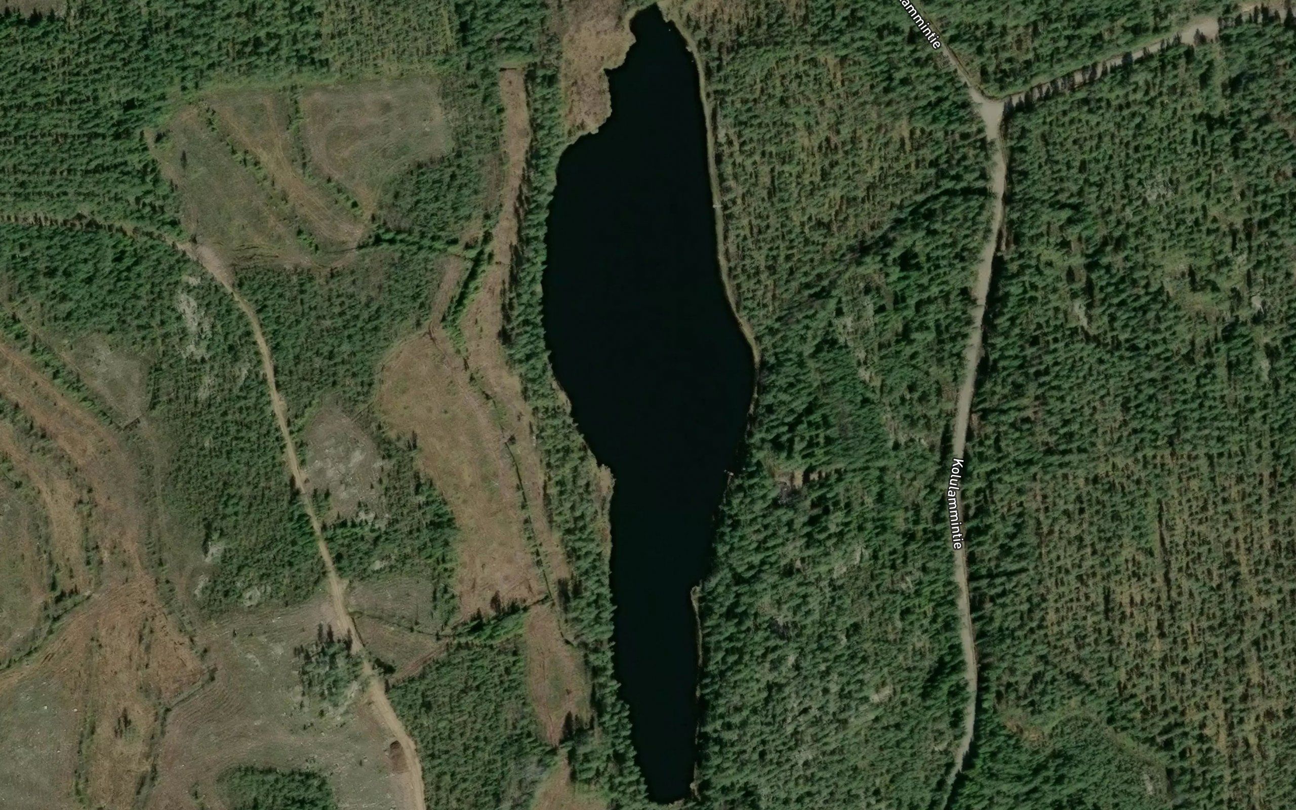 Kolulampi
