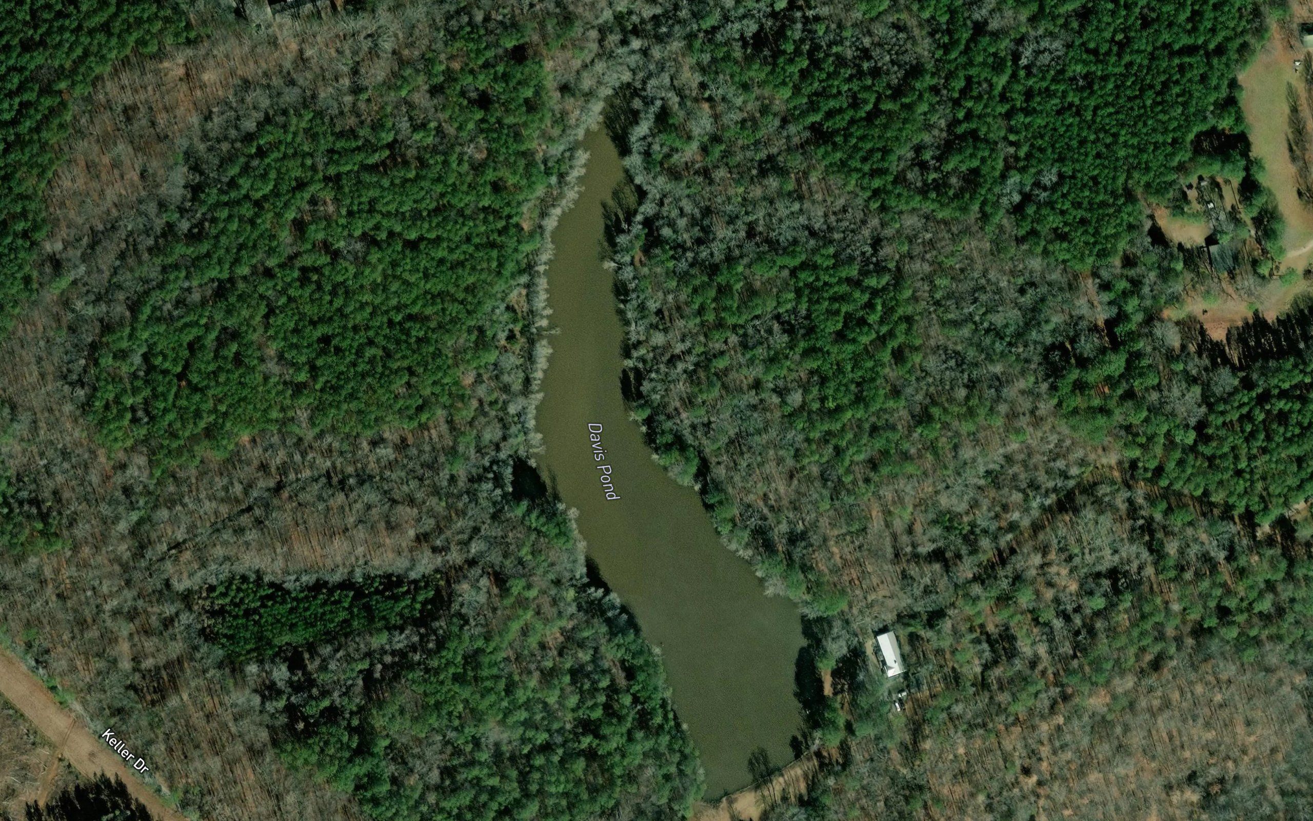 Davis Pond