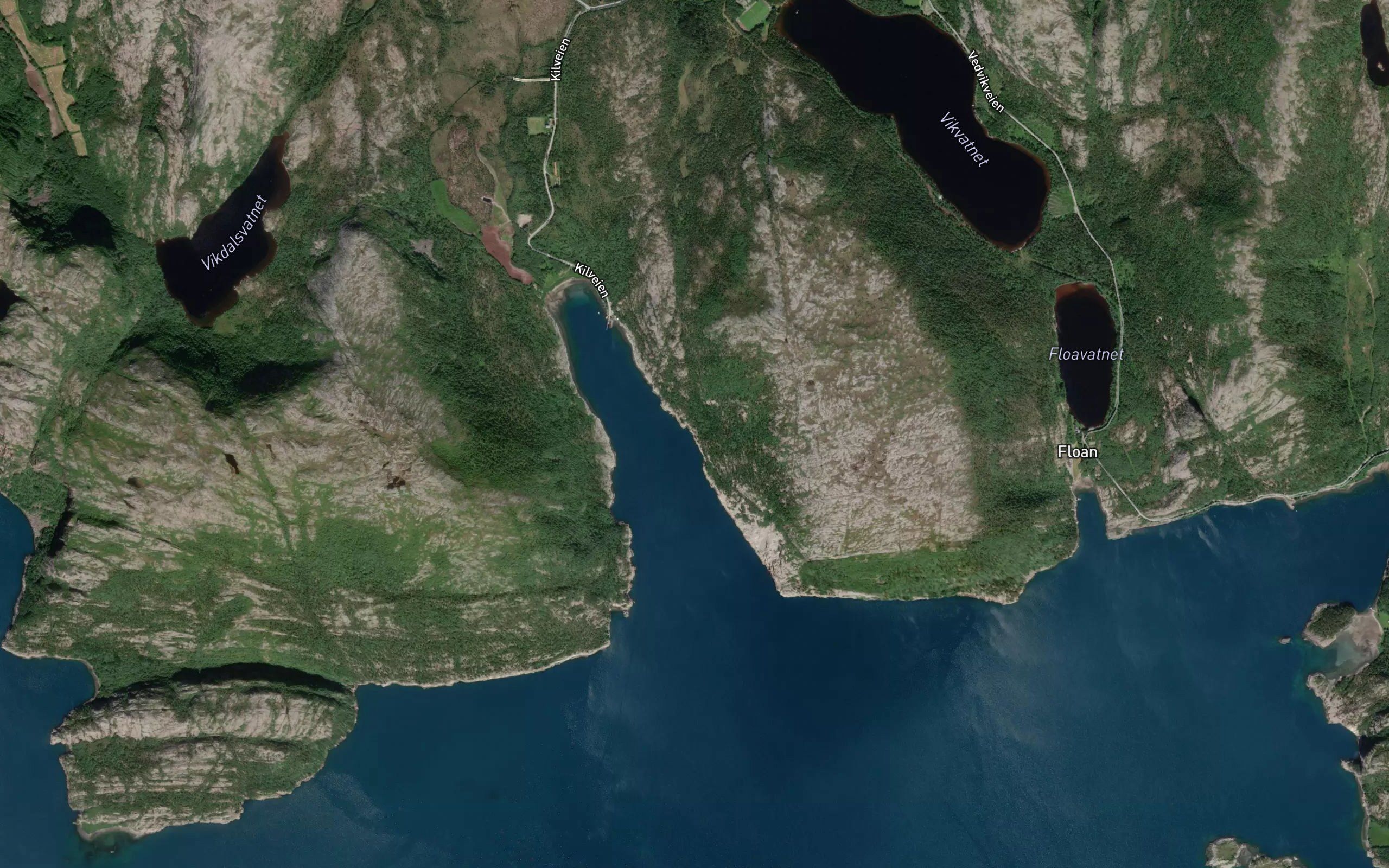 Salamonvika