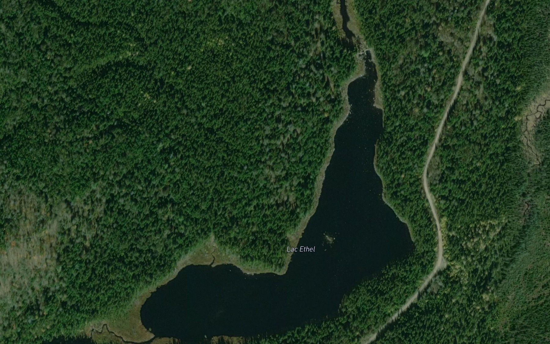 Satellite map of the Lac Ethel