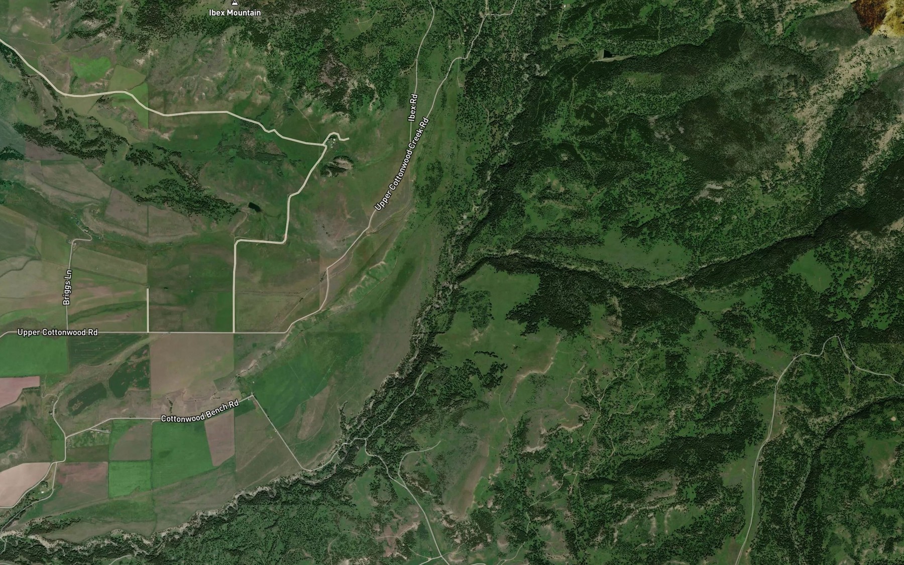 Satellite map of the Little Cottonwood Creek