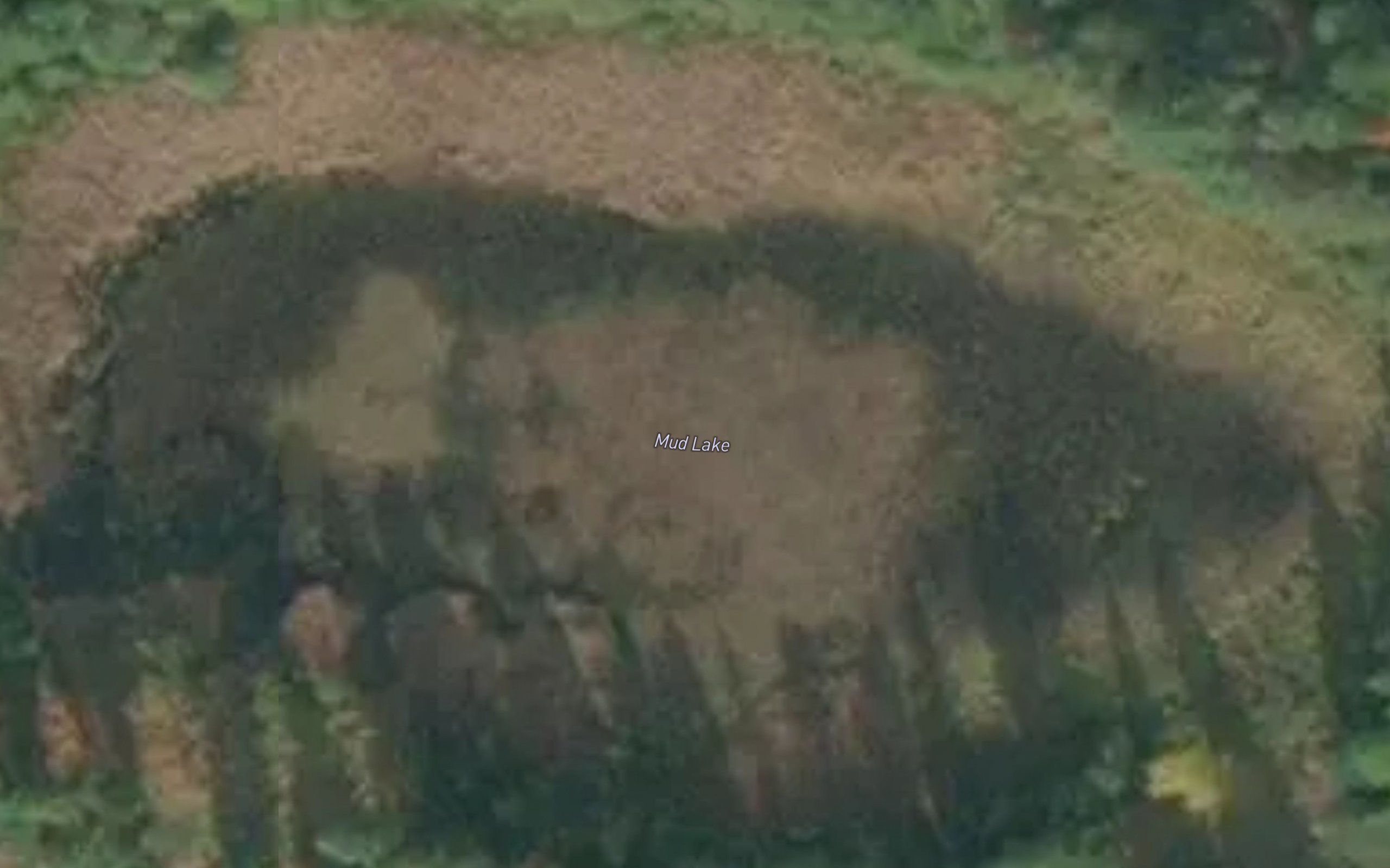 Mud Lake