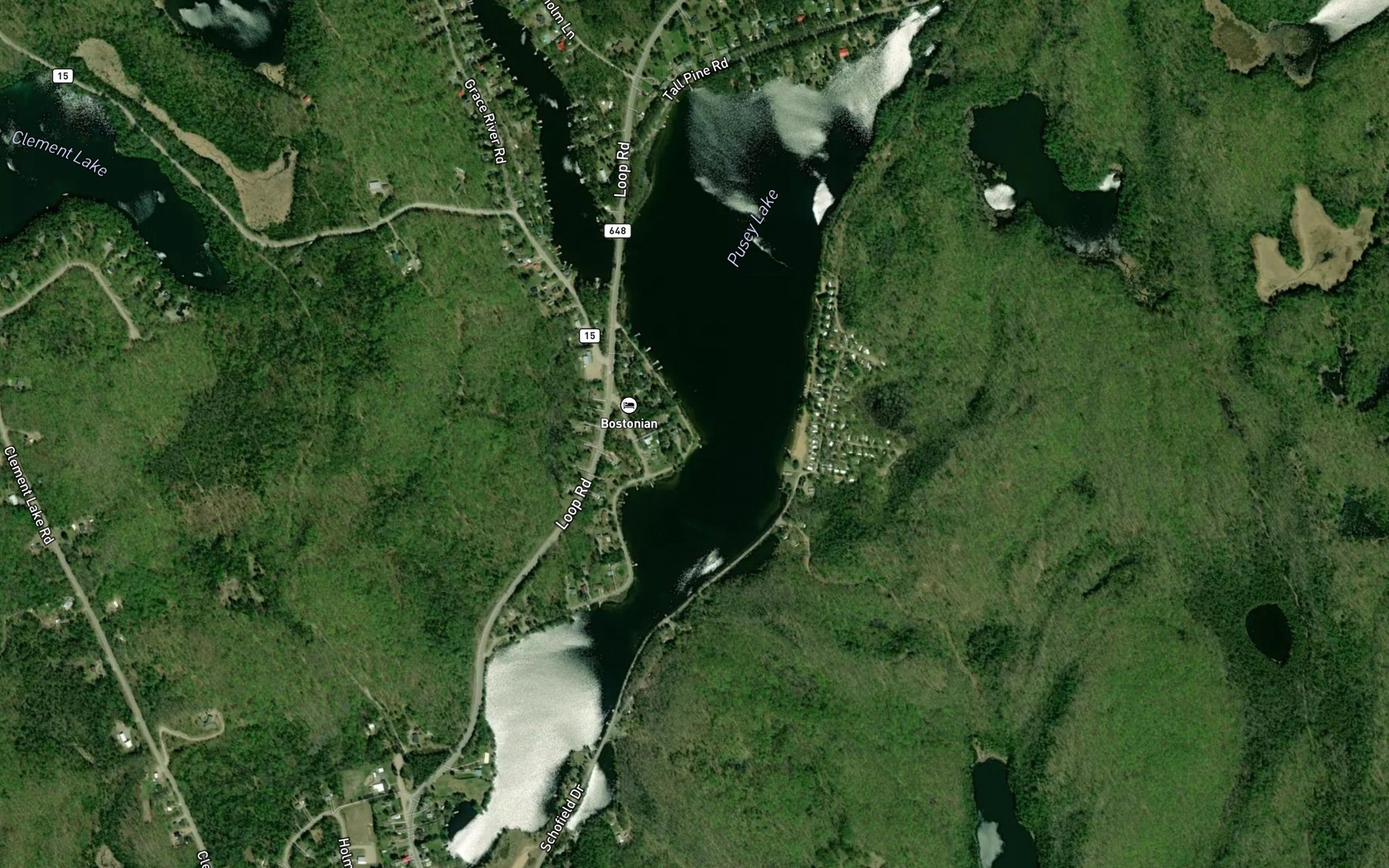 Satellite map of the Pusey Lake