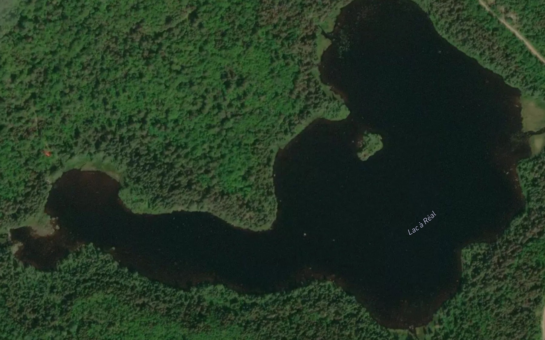 Satellite map of the Lac a Real