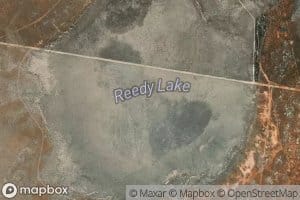Reedy Lake