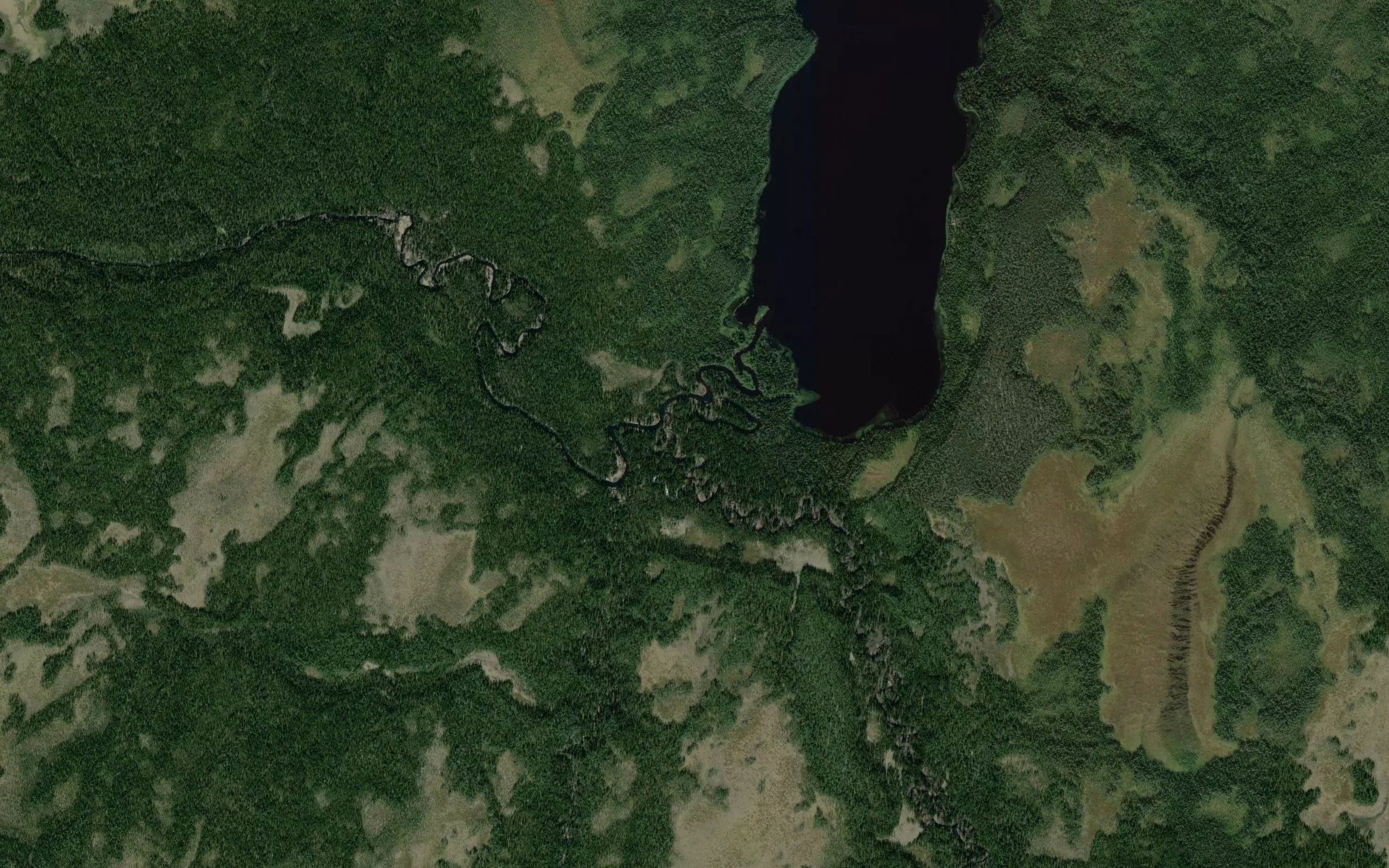 Kolenistaya