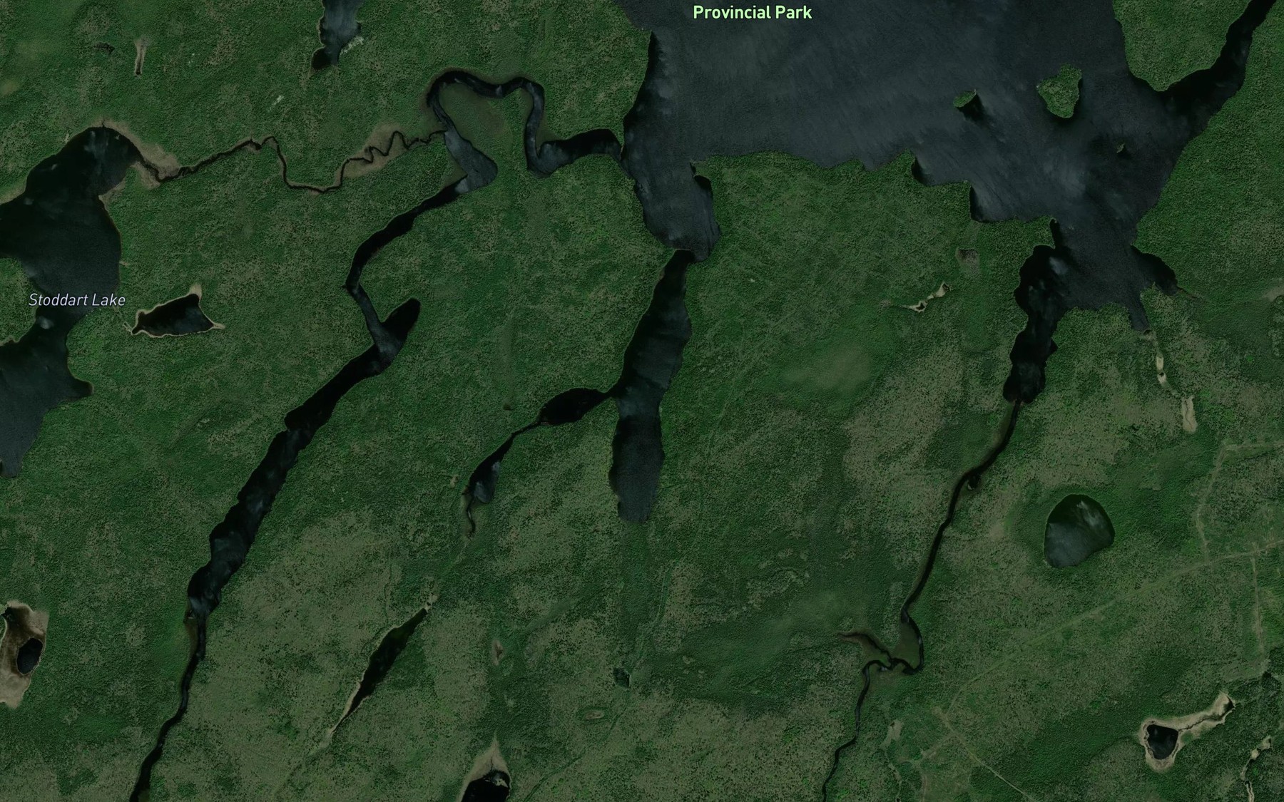Satellite map of the Lilypad Bay