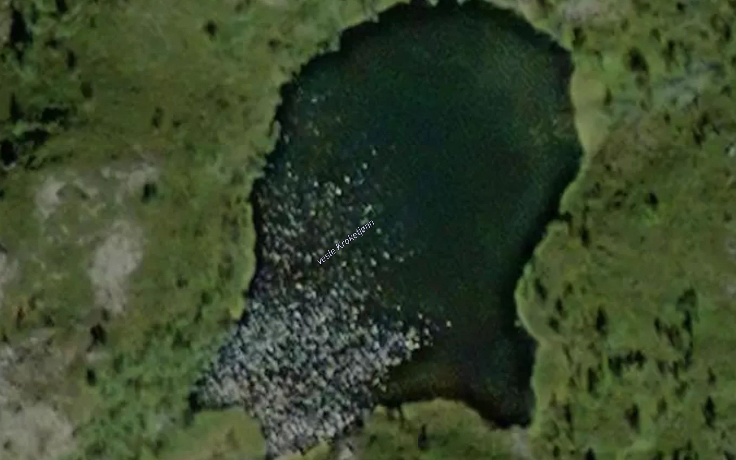 Kroketjorn,vle