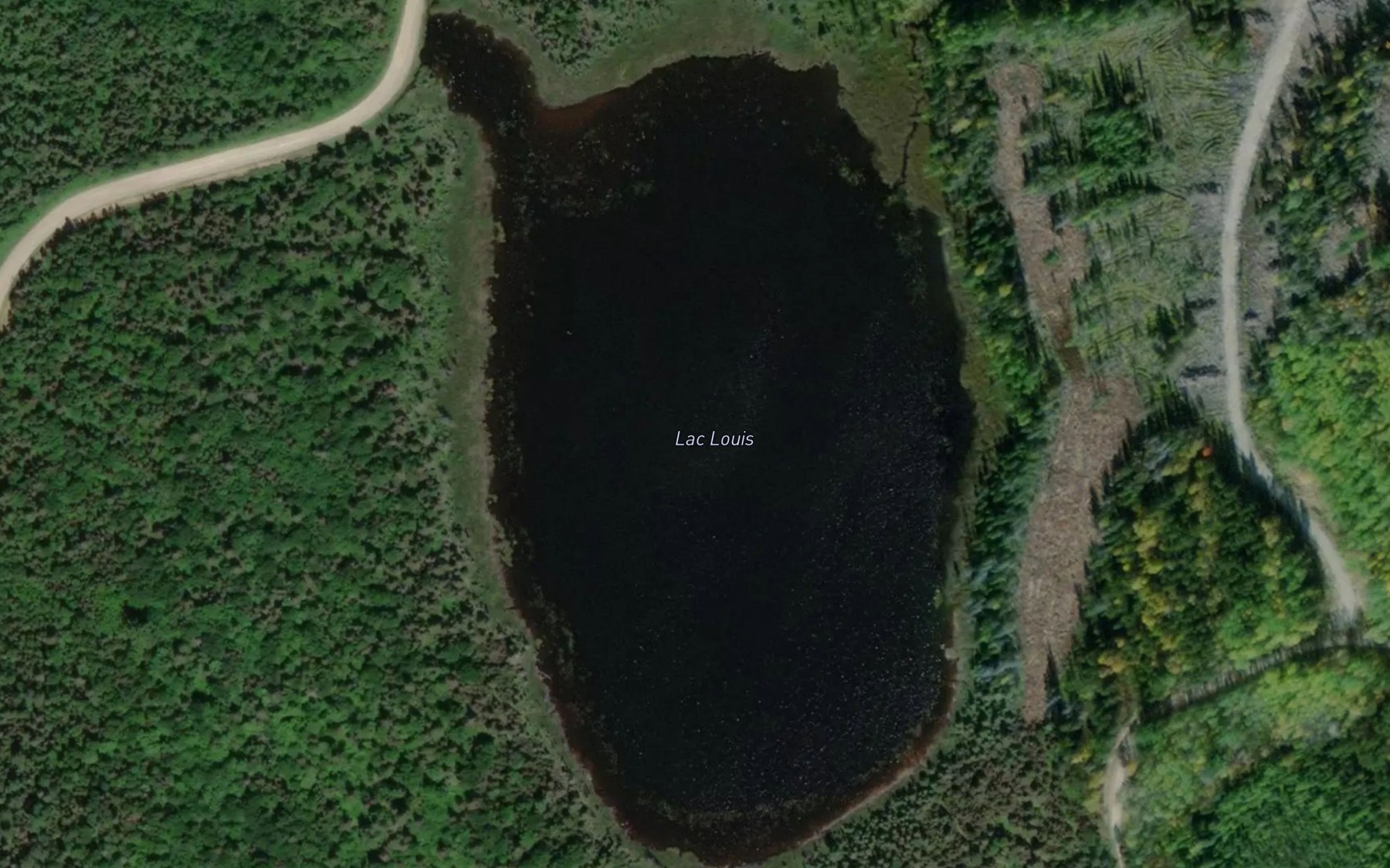 Satellite map of the Lac Louis
