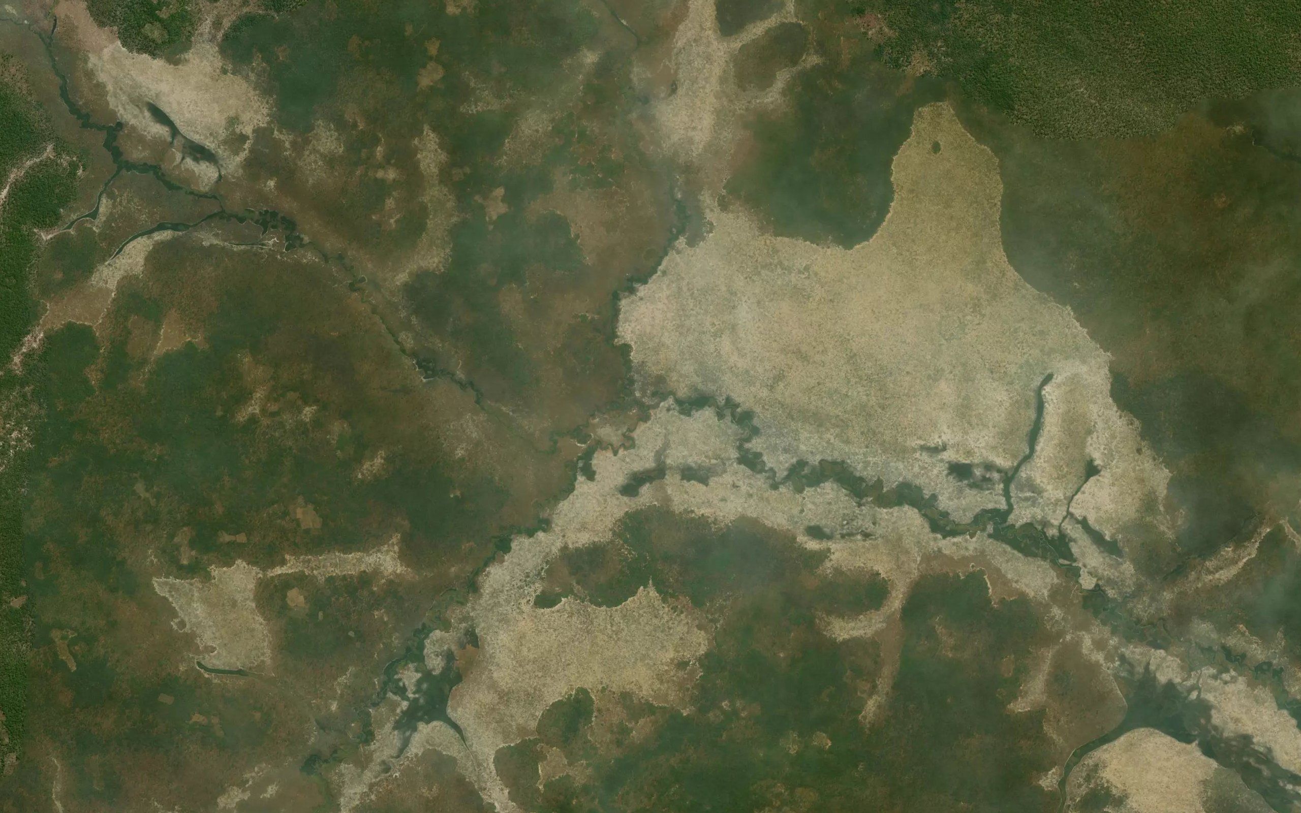 Miangueva
