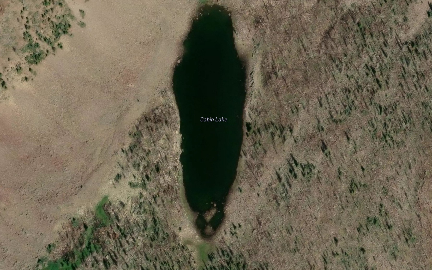 Satellite map of the Cabin Lake