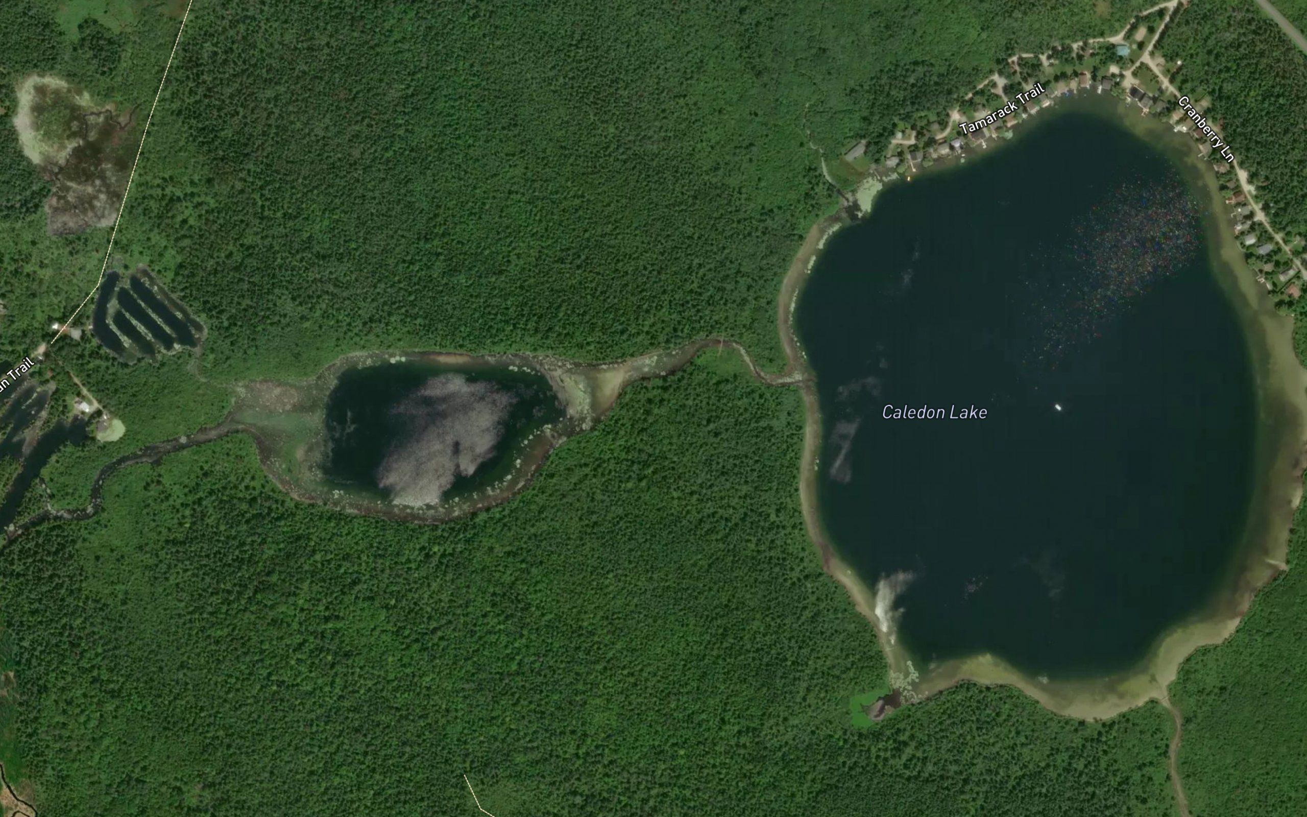 Caledon Lake