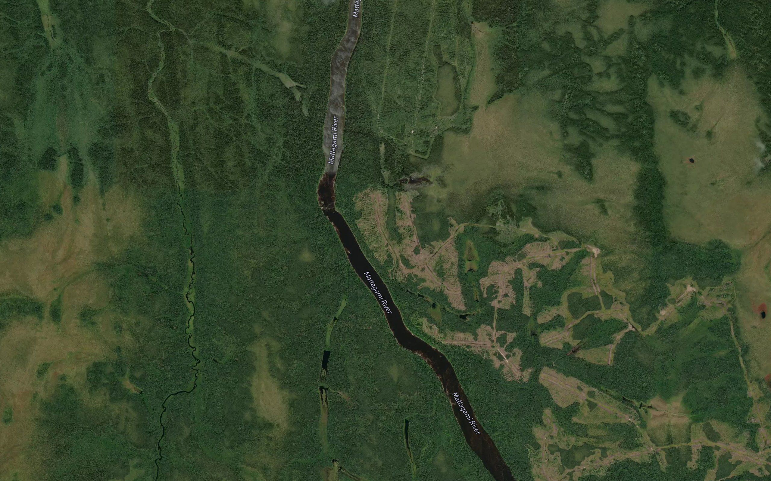 Fish Rapids