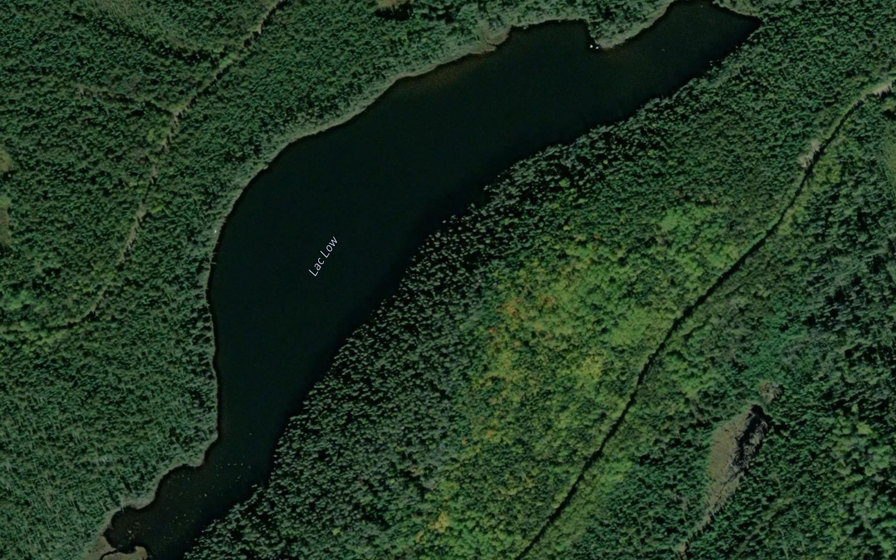 Satellite map of the Lac Low