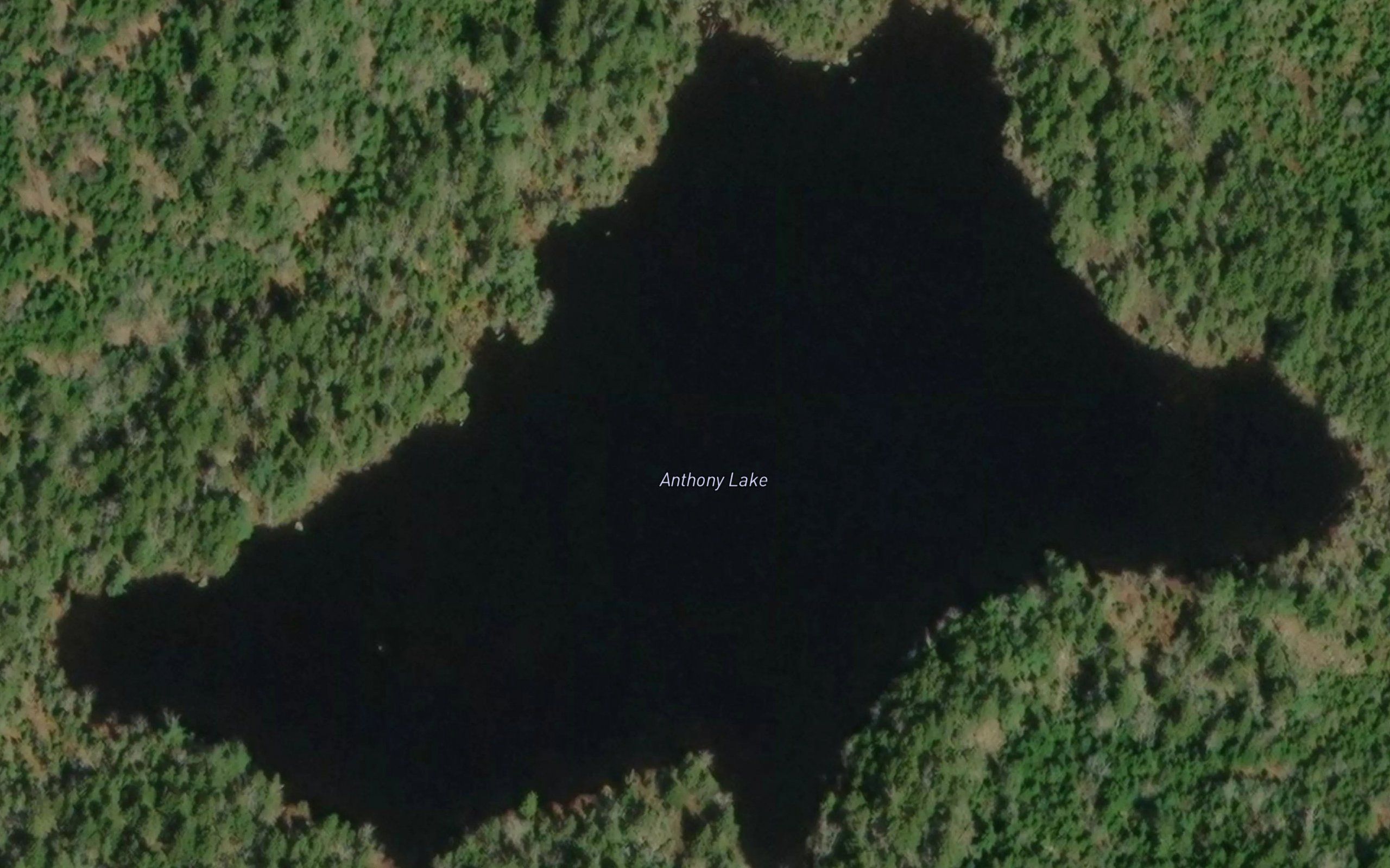 Anthony Lake