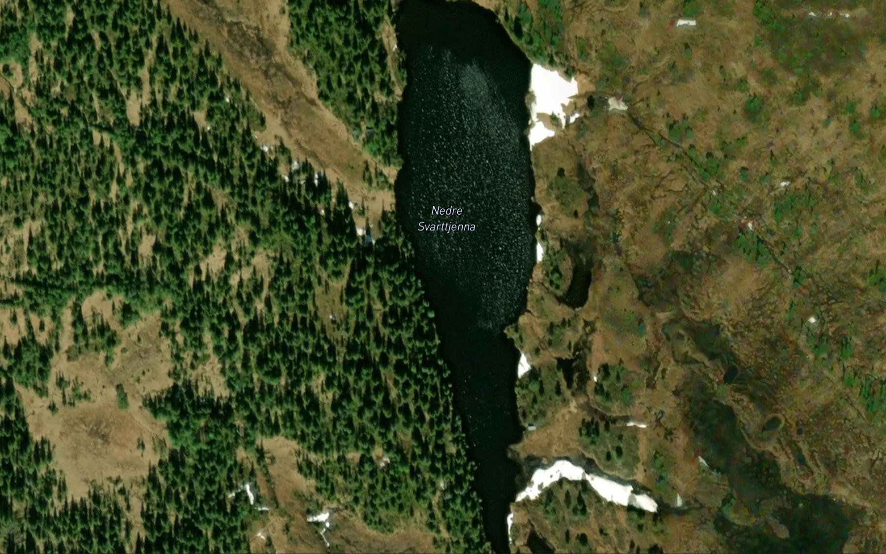Satellite map of the Svarttjorna,vestre