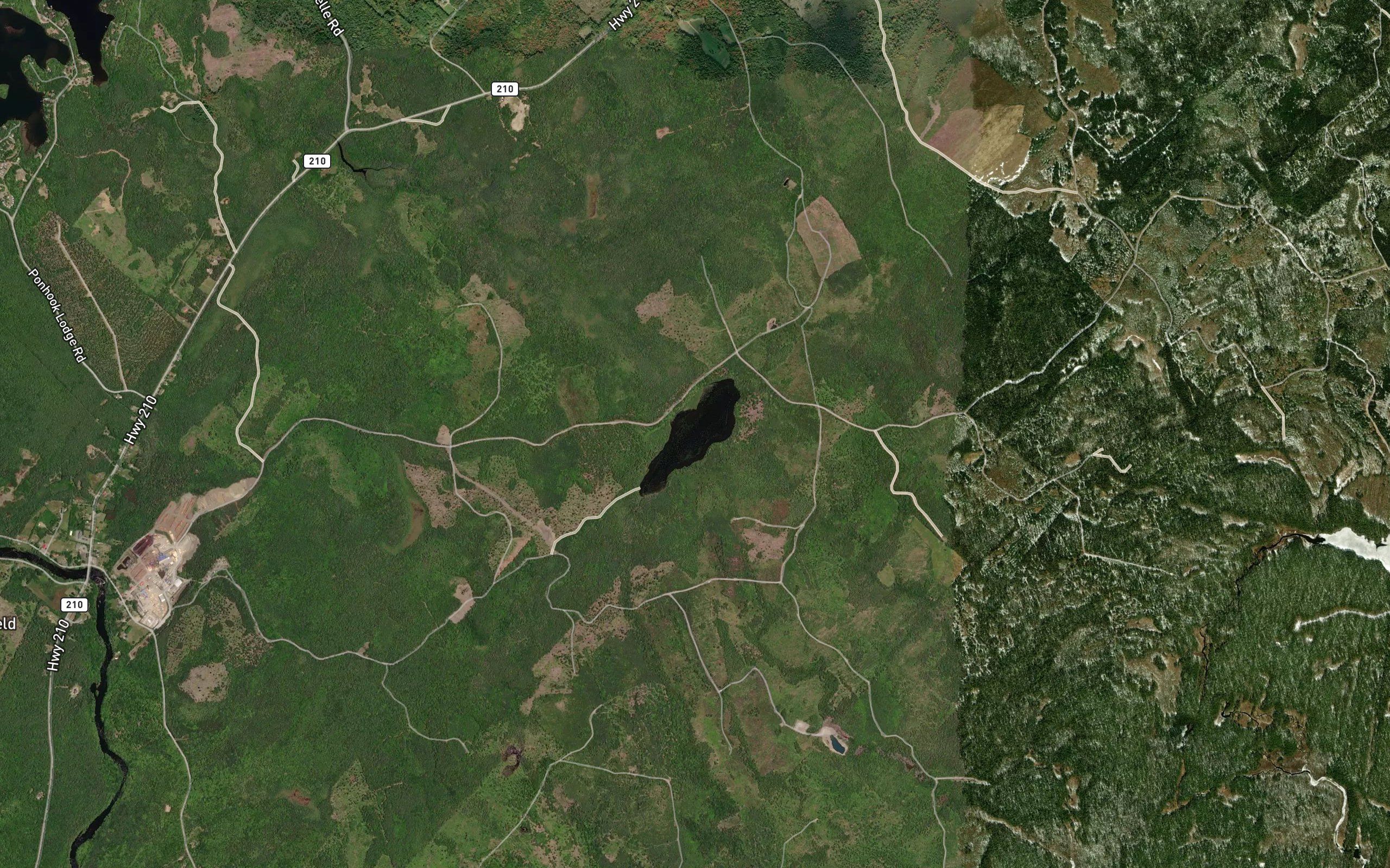 Cow Moose Lake