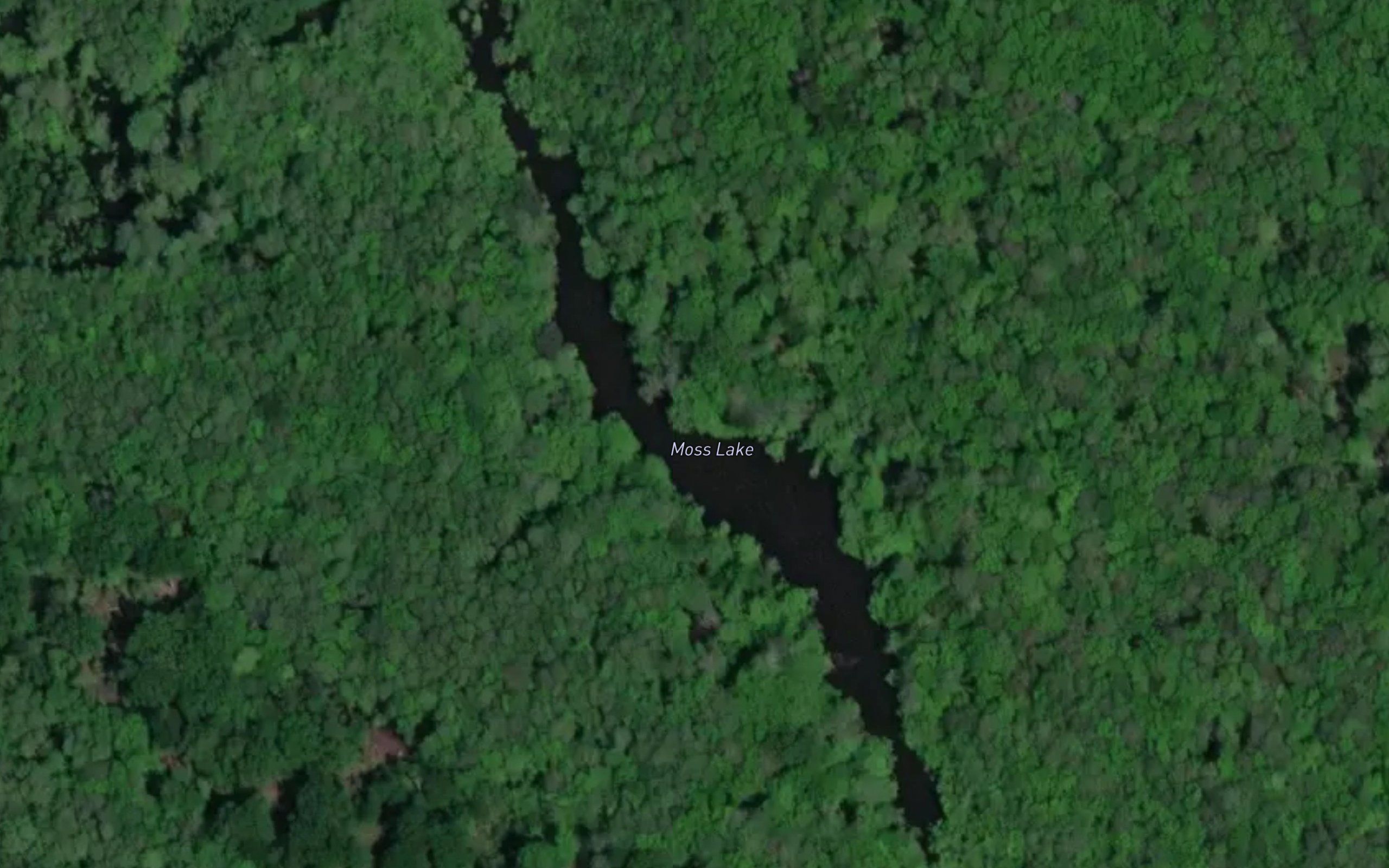 Moss Lake