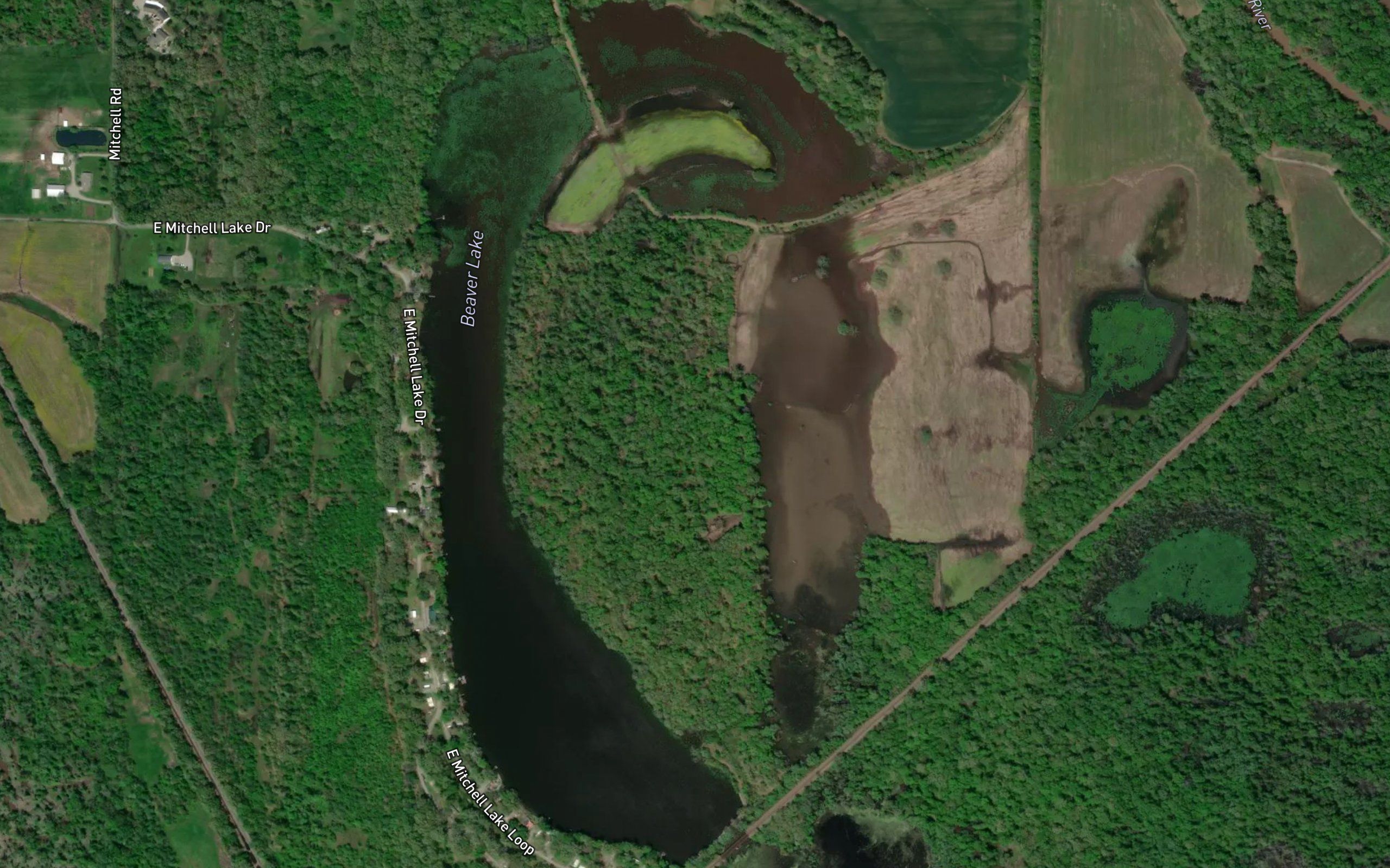 Beaver Lake