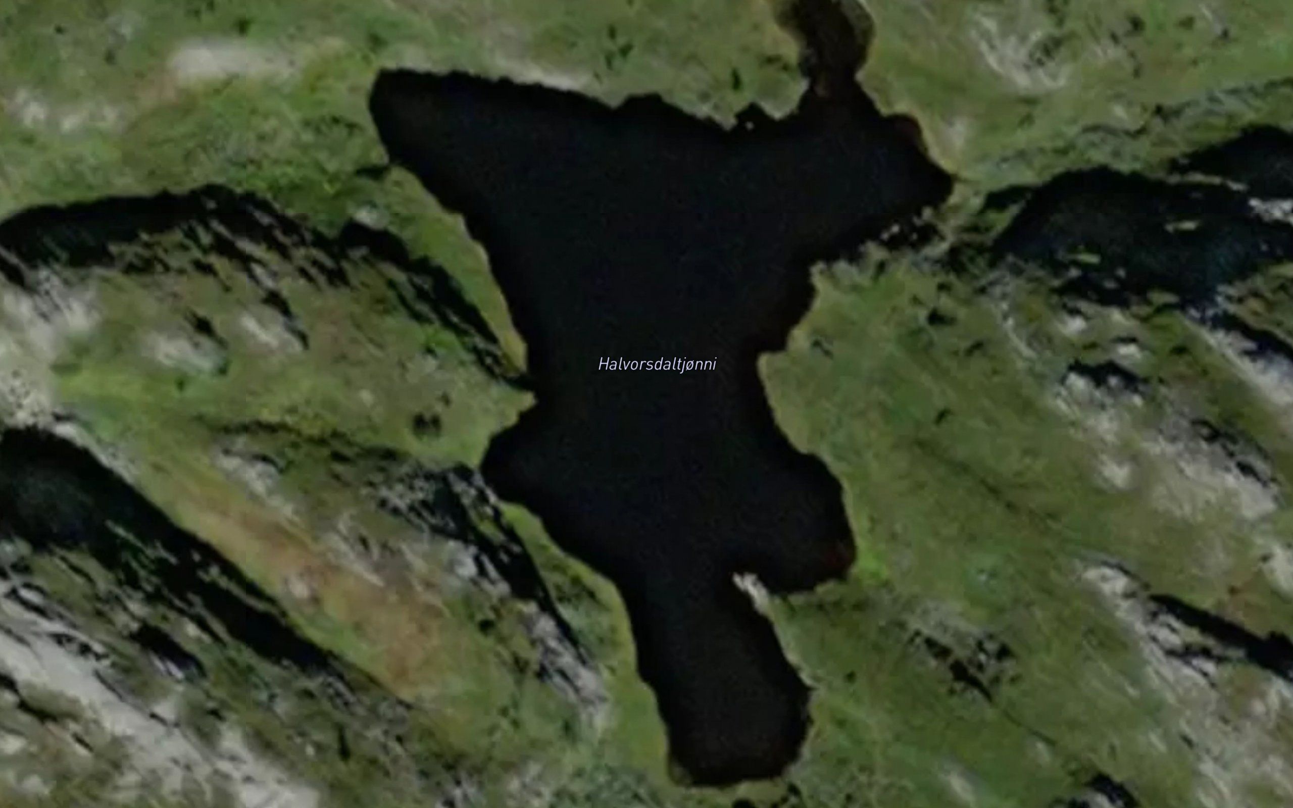 Halvorsdaltjonni