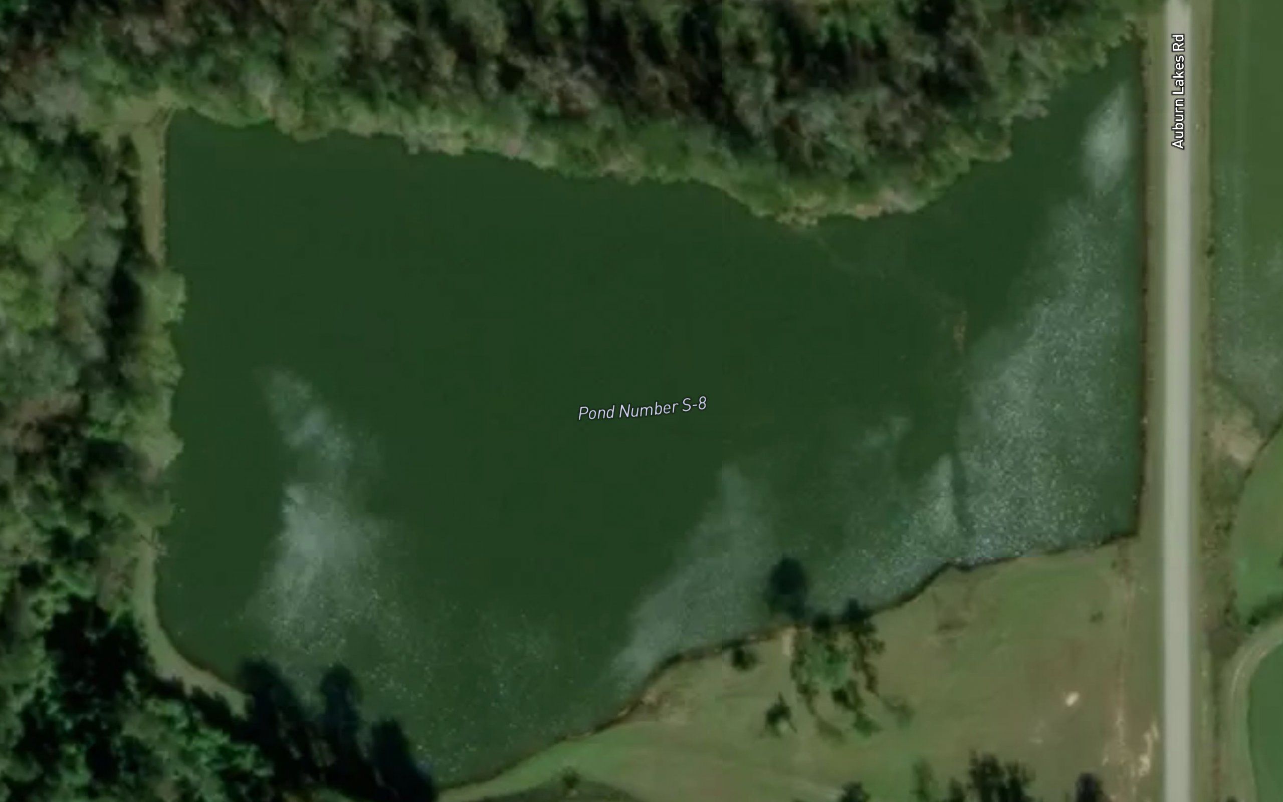 Pond Number S-8
