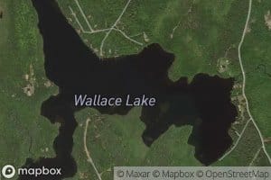 Wallace Lake