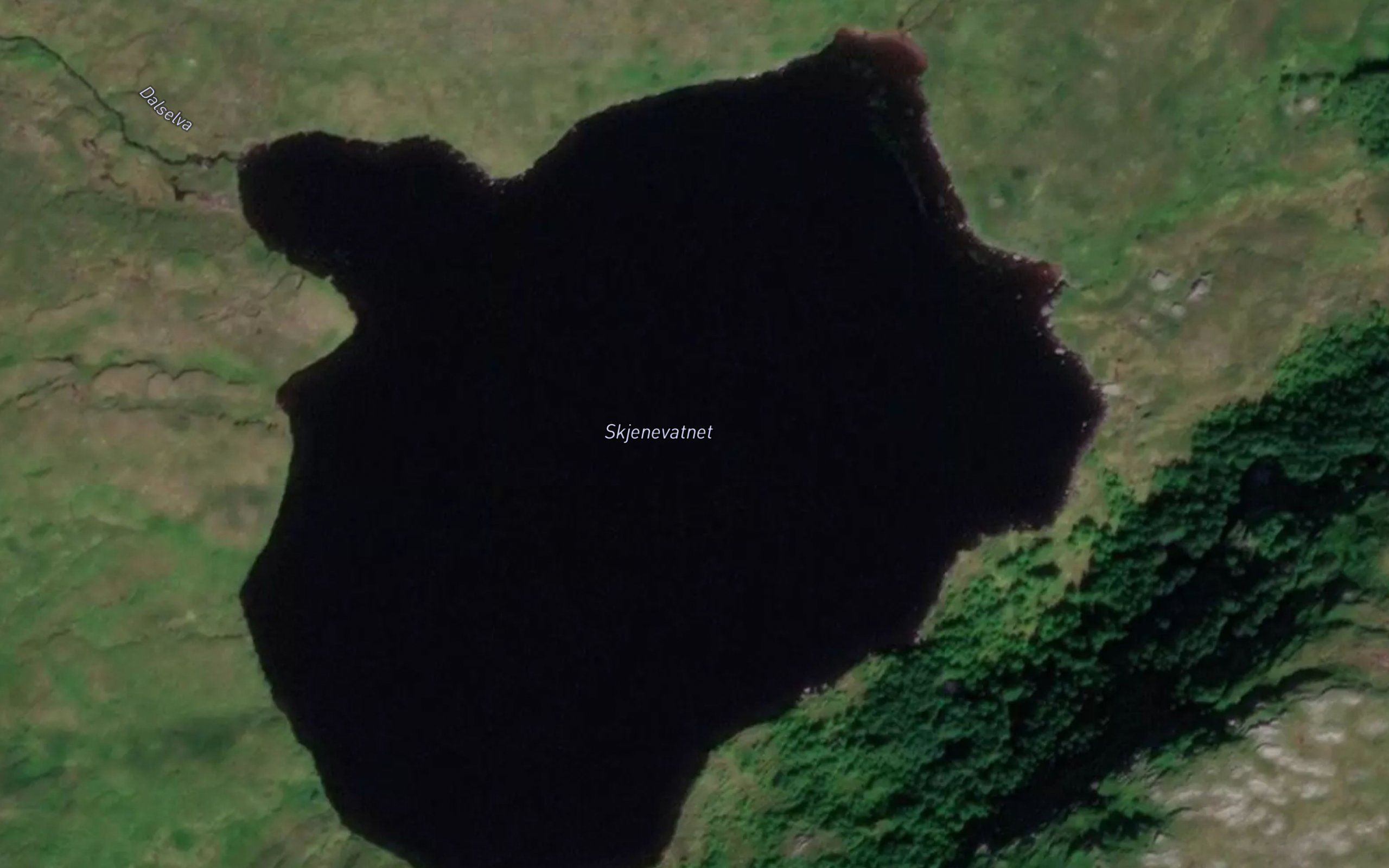 Skjenevatnet