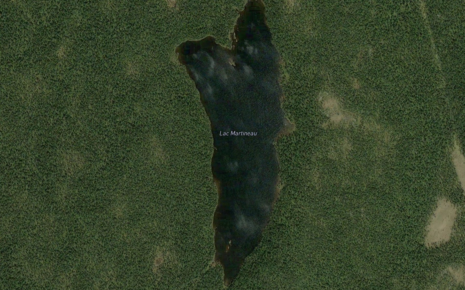 Satellite map of the Lac Martineau