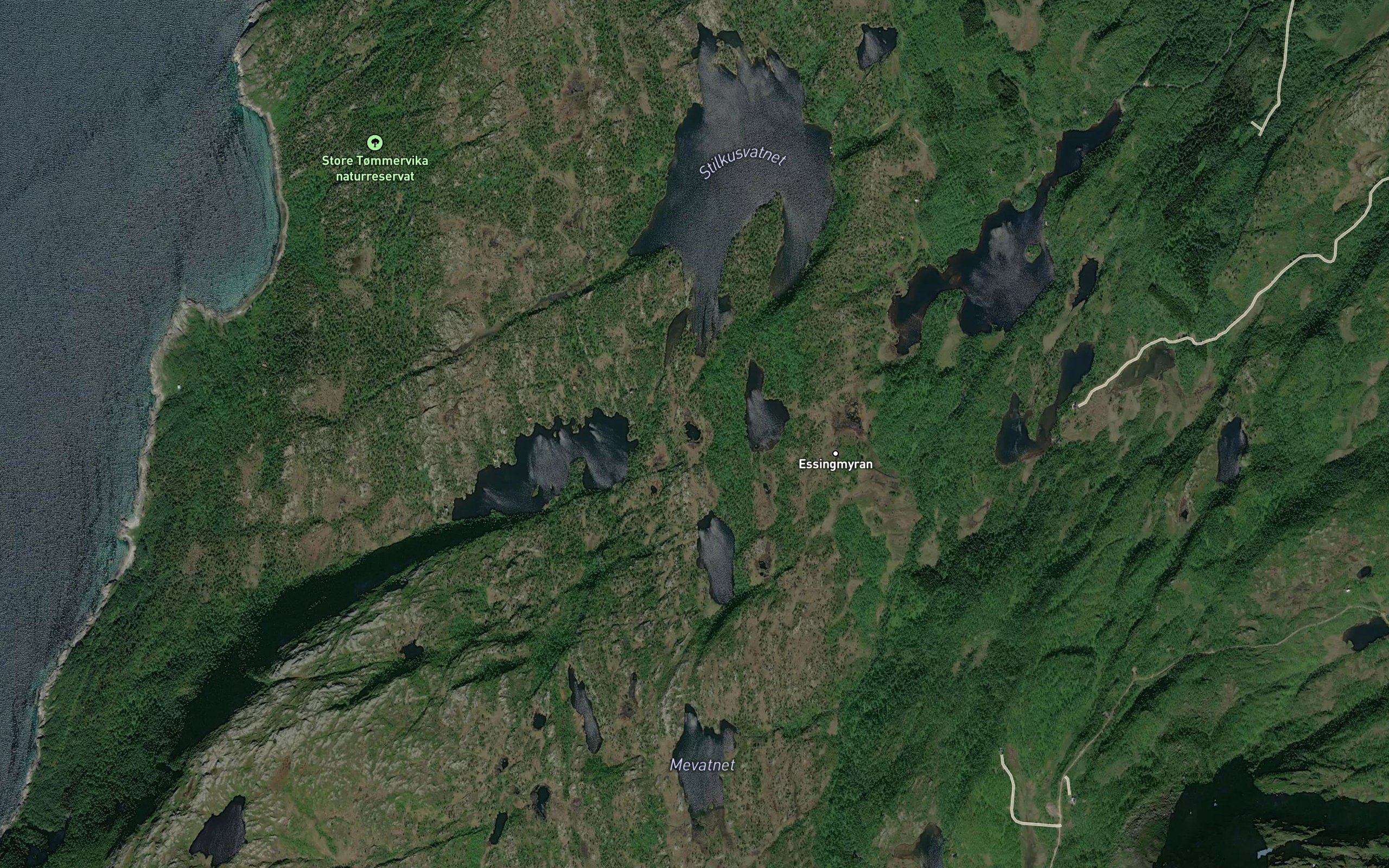 Tommerhaugvatnet