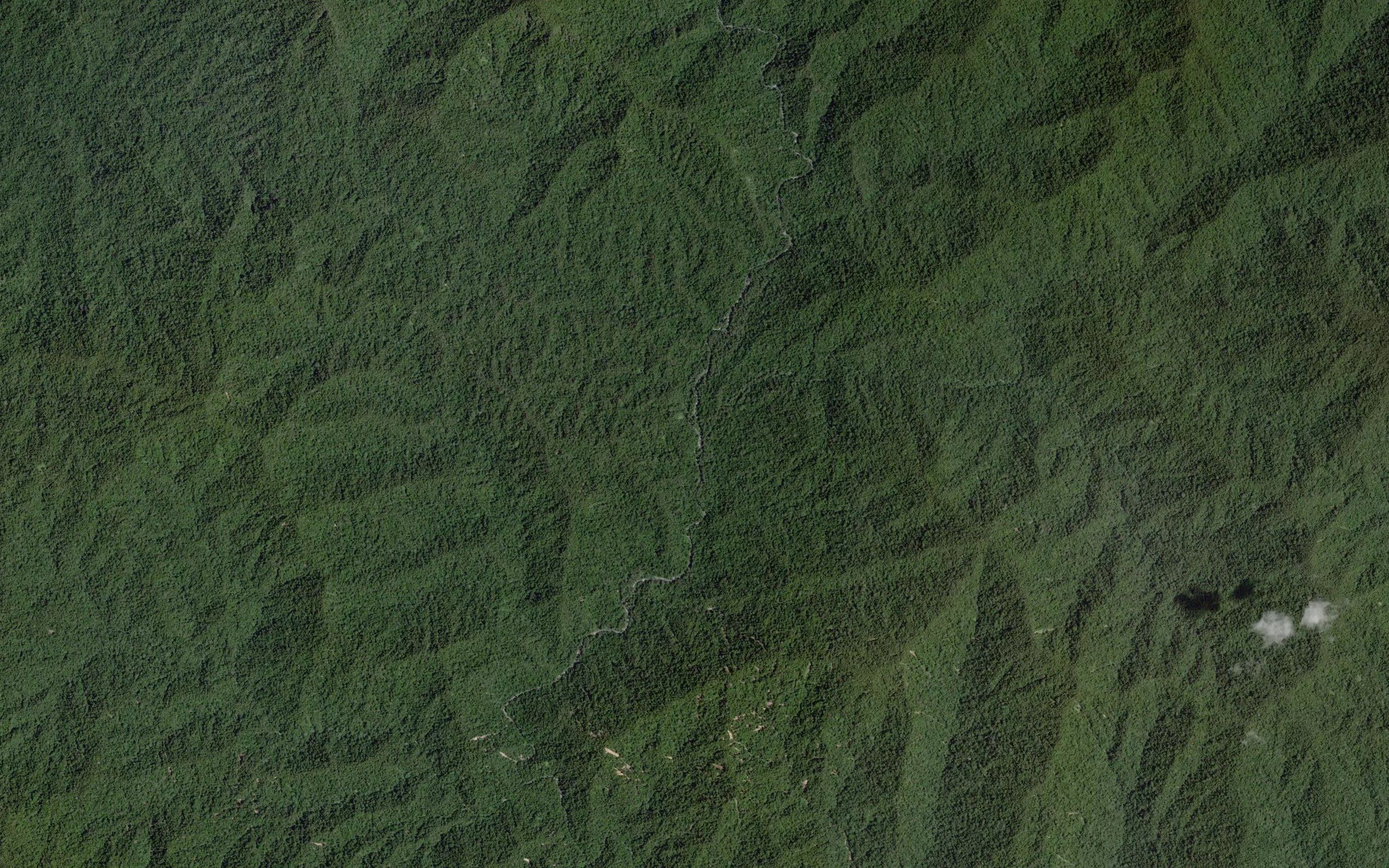 Dutuna Ngai