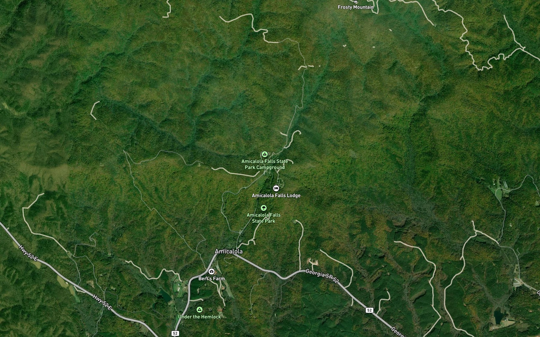 Satellite map of the Amicalola Lake