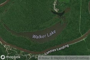Lehman Lake
